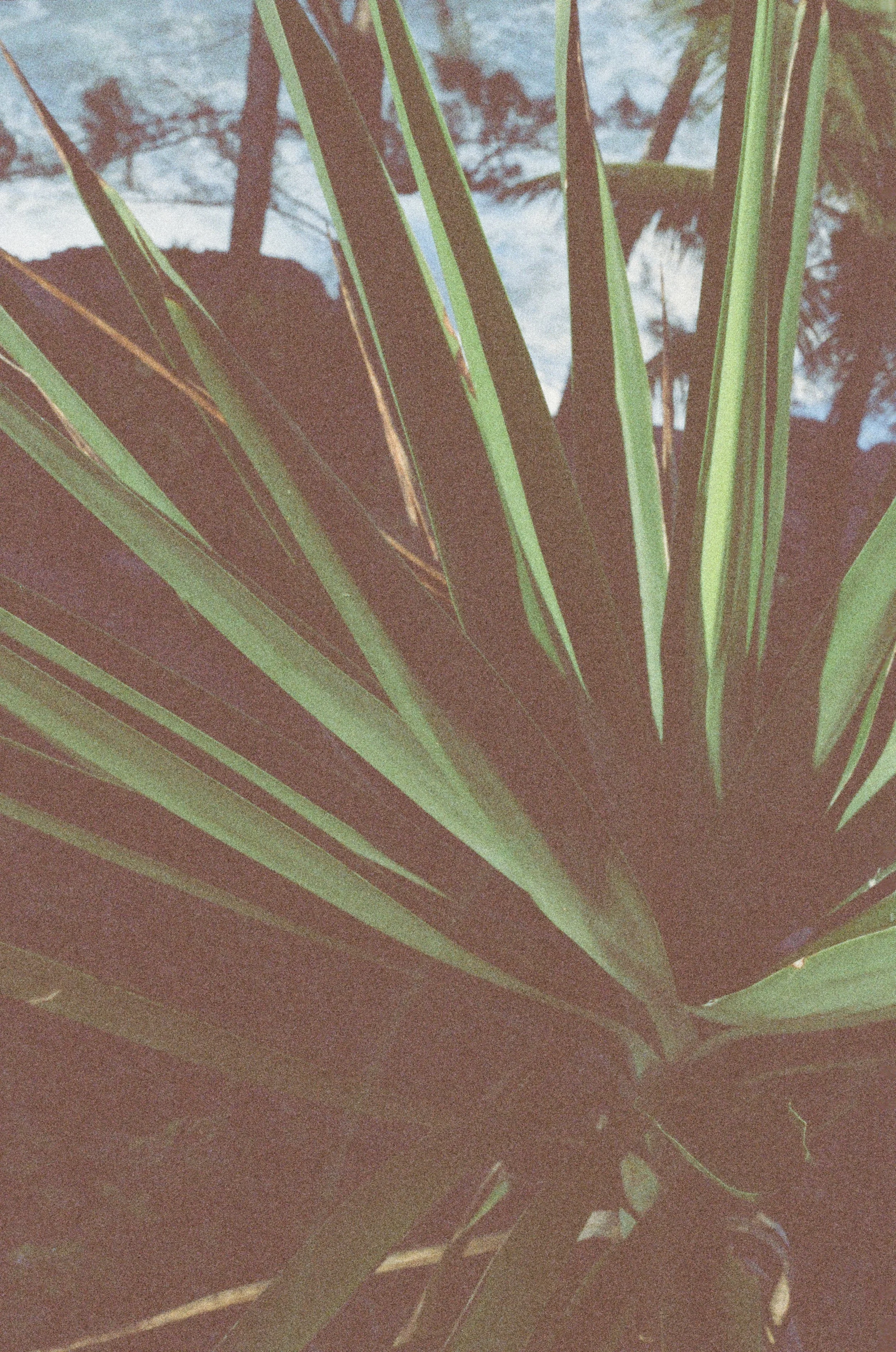 marejadas_0038.jpg