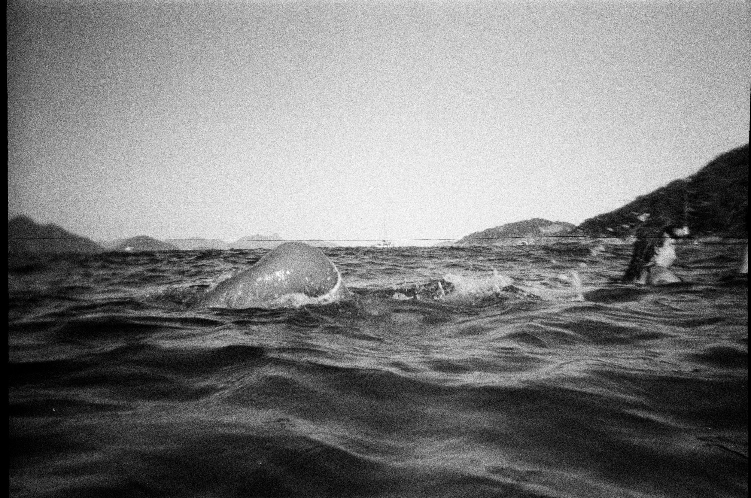marejadas_0195.jpg