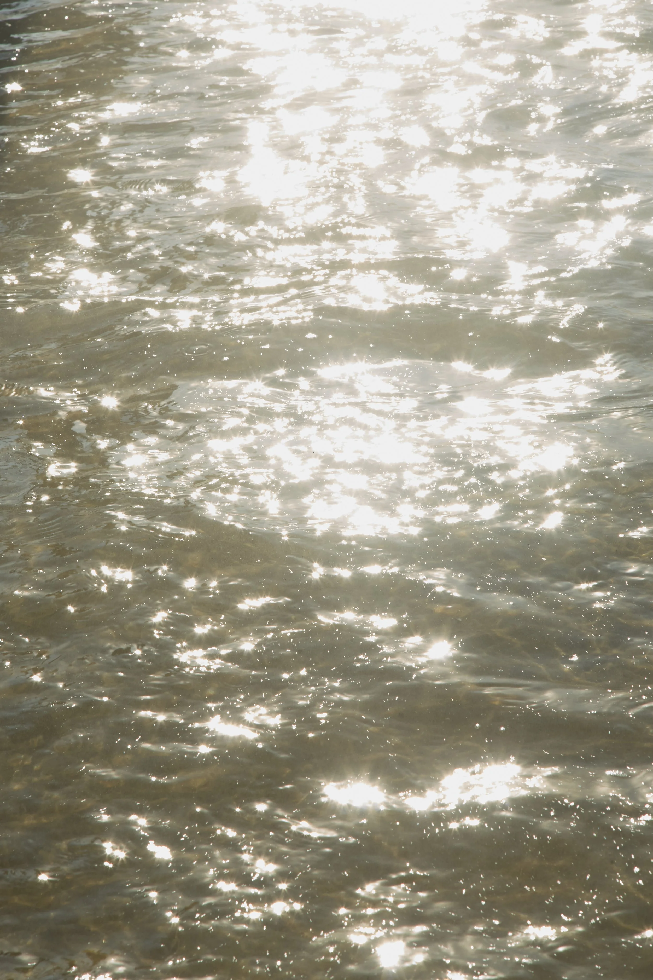 BRWN.RIO_72926.jpg