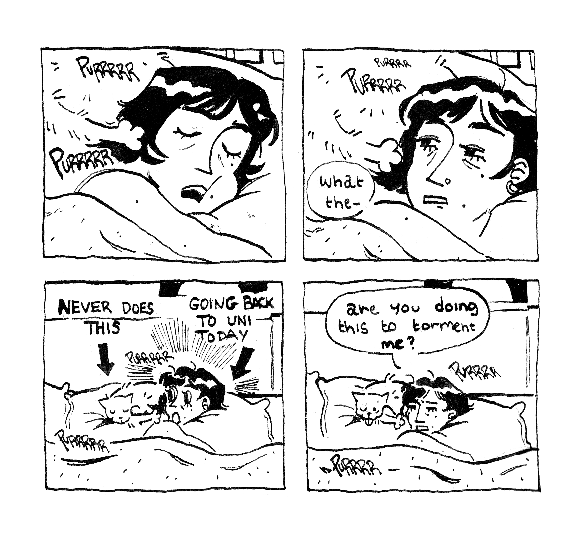 Diary Comic