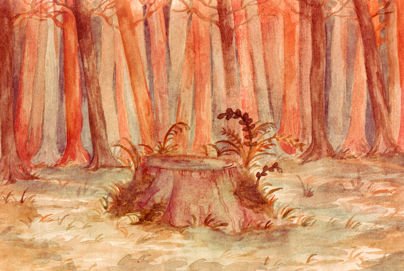 bg2 copy.png