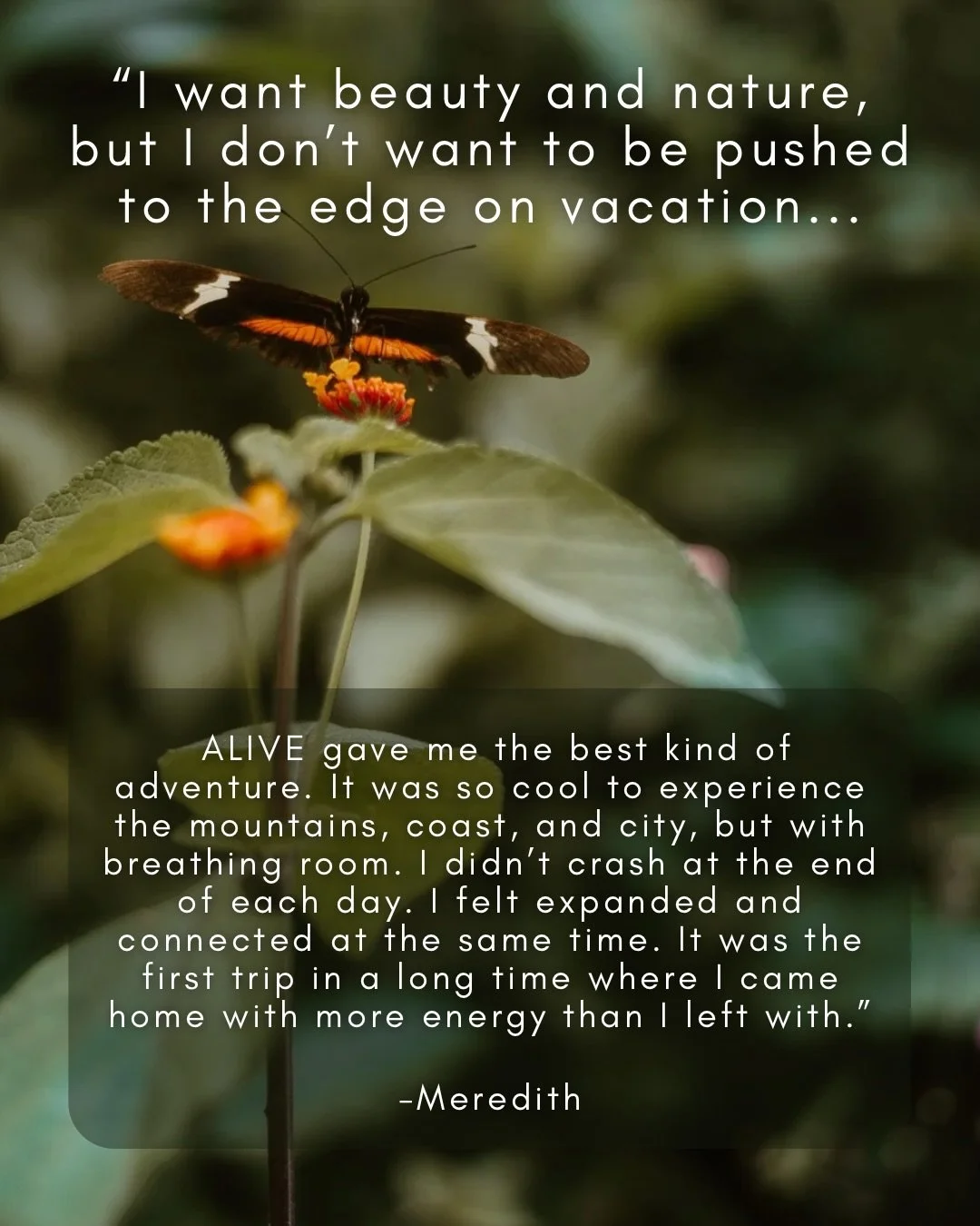 Before going to Colombia, I felt stuck&mdash;disconnected from inspiration and my own sense of aliveness. But being shaken out of my familiar rhythms, comforts and immersed in another culture cracked me open in the most profound way.

This region of 