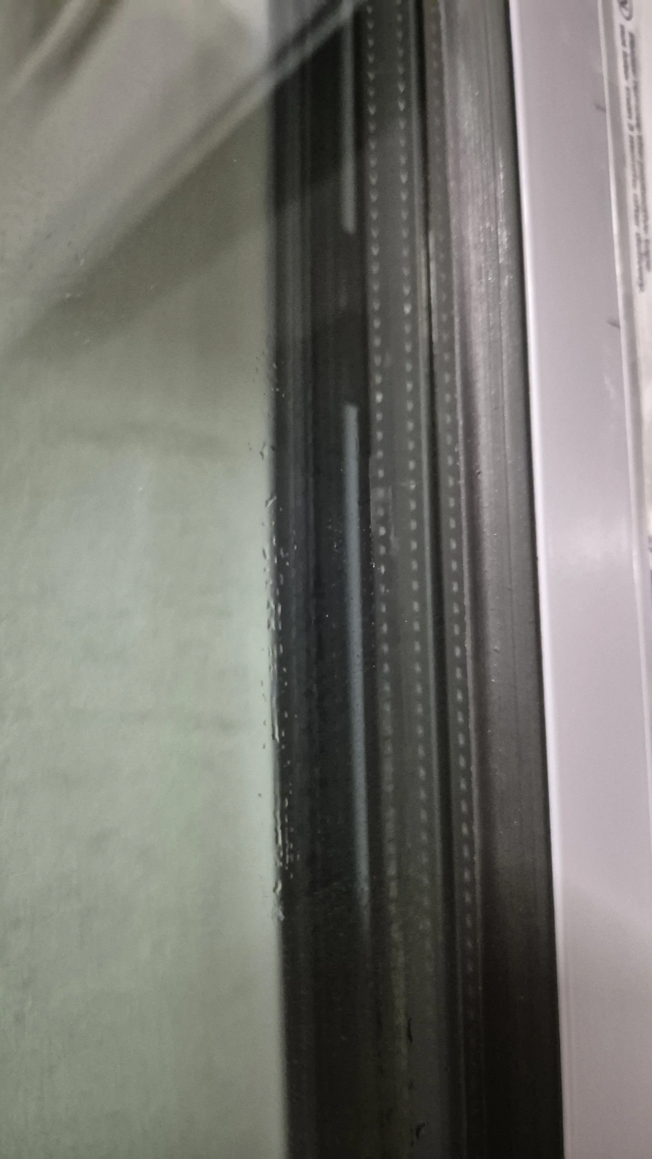 20260511_113613.jpg