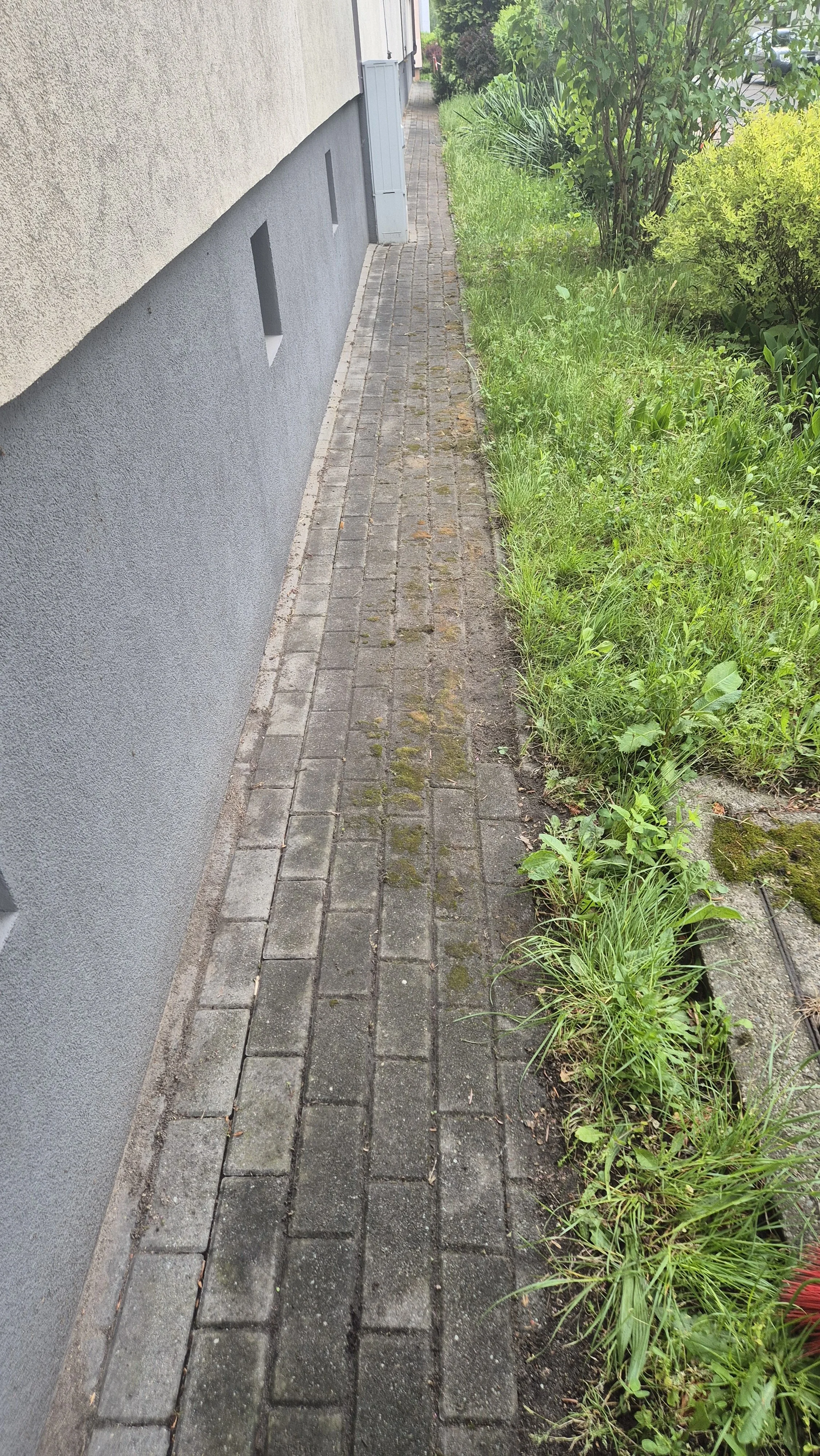 20260515_124014.jpg