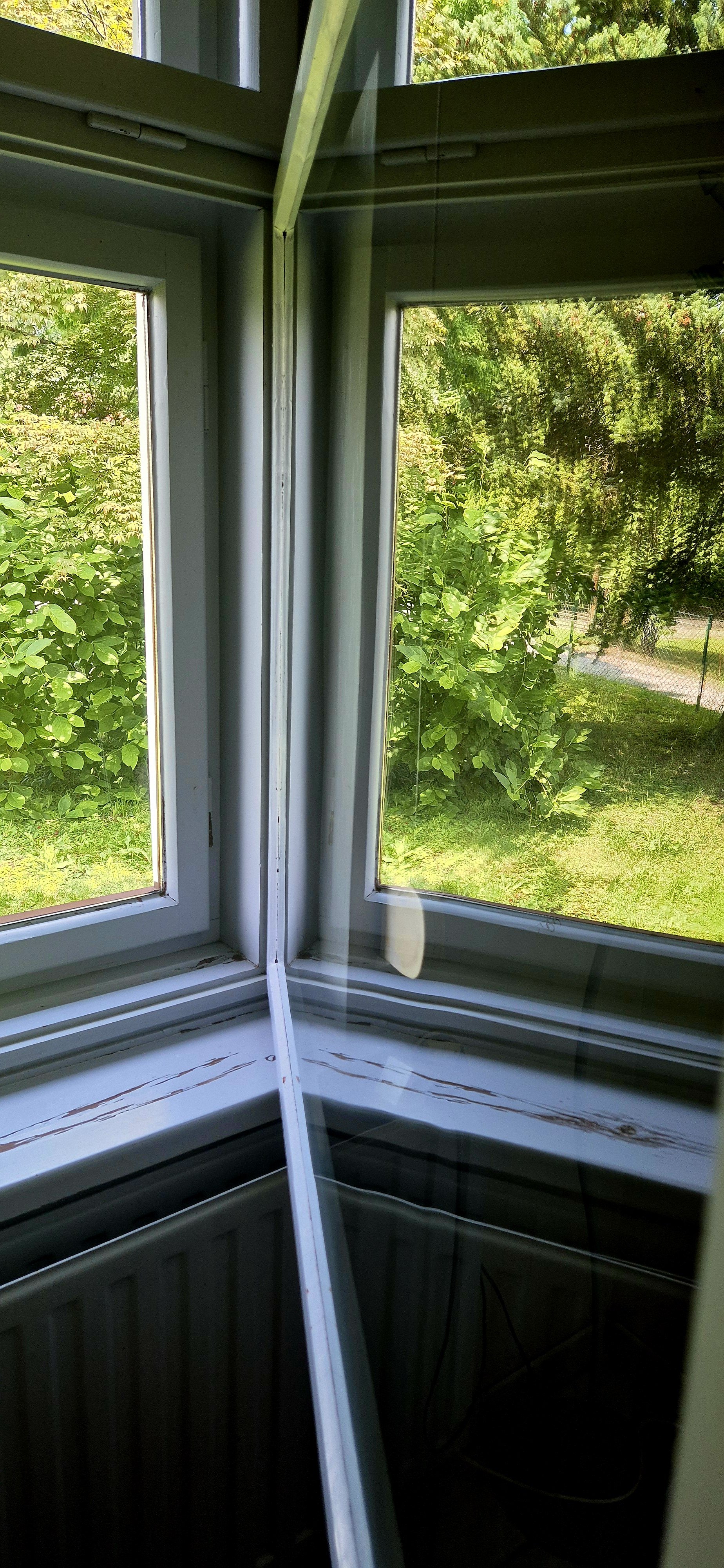 20260714_125550.jpg
