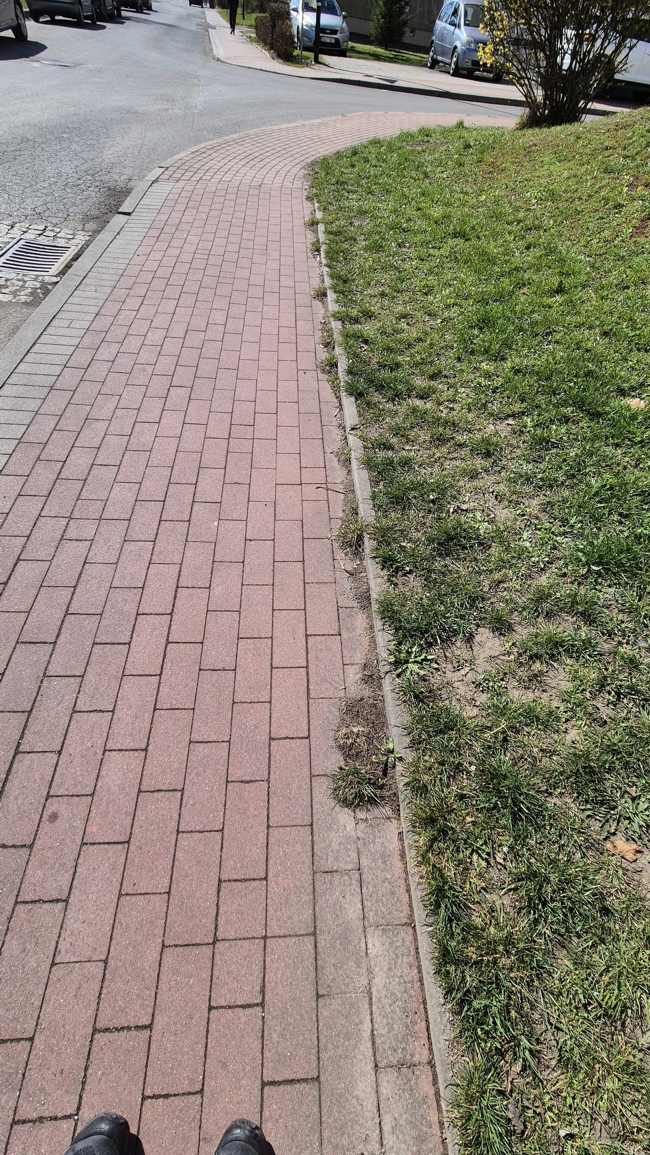 20260321_105155.jpg