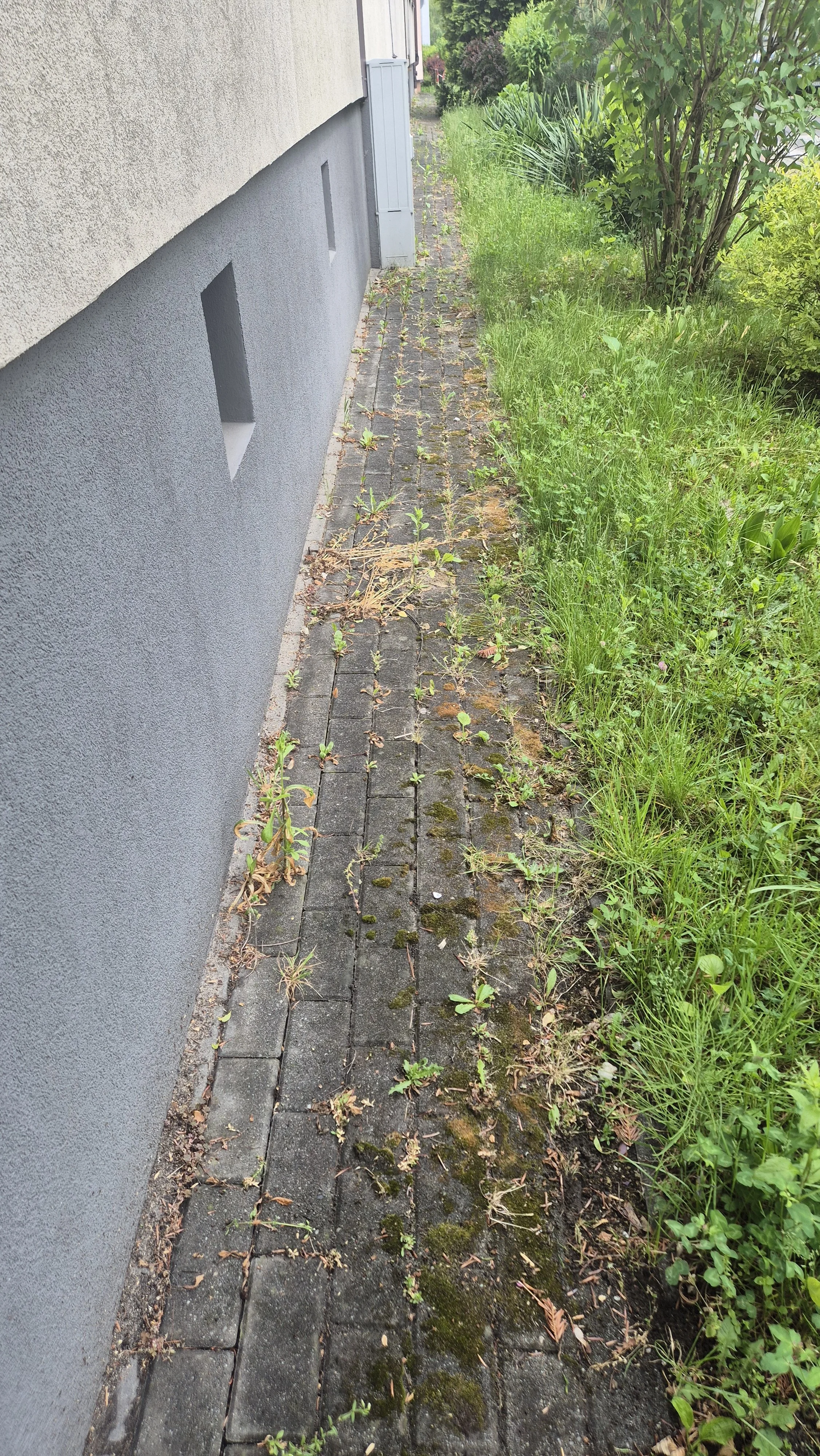 20260515_112642.jpg