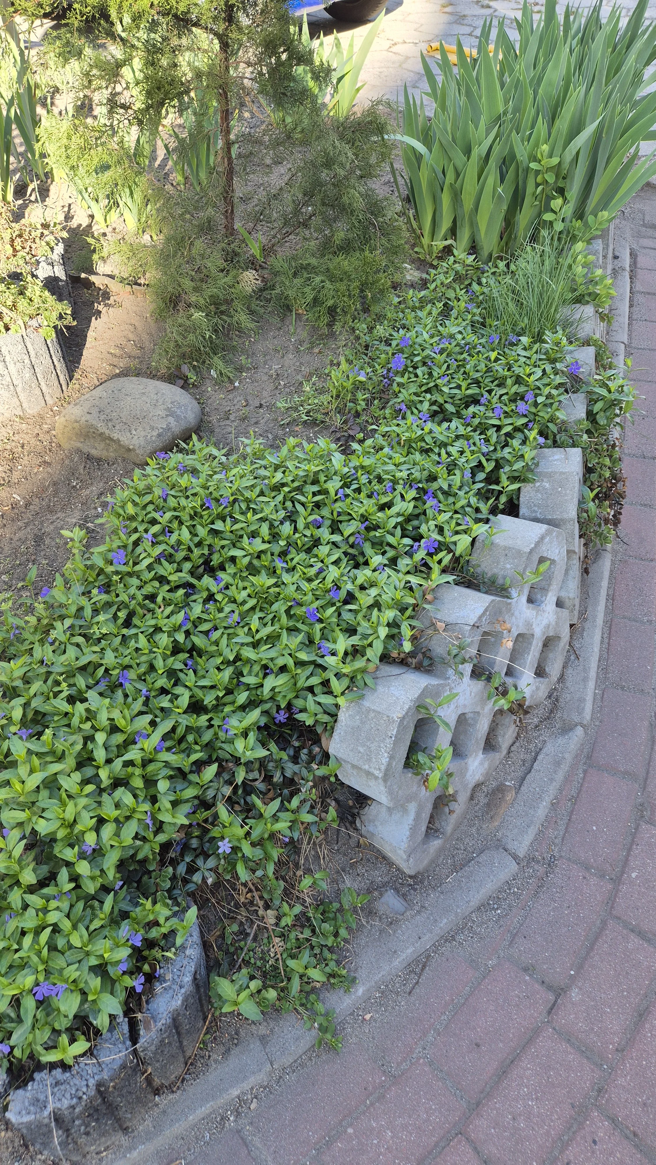 20260428_173321.jpg