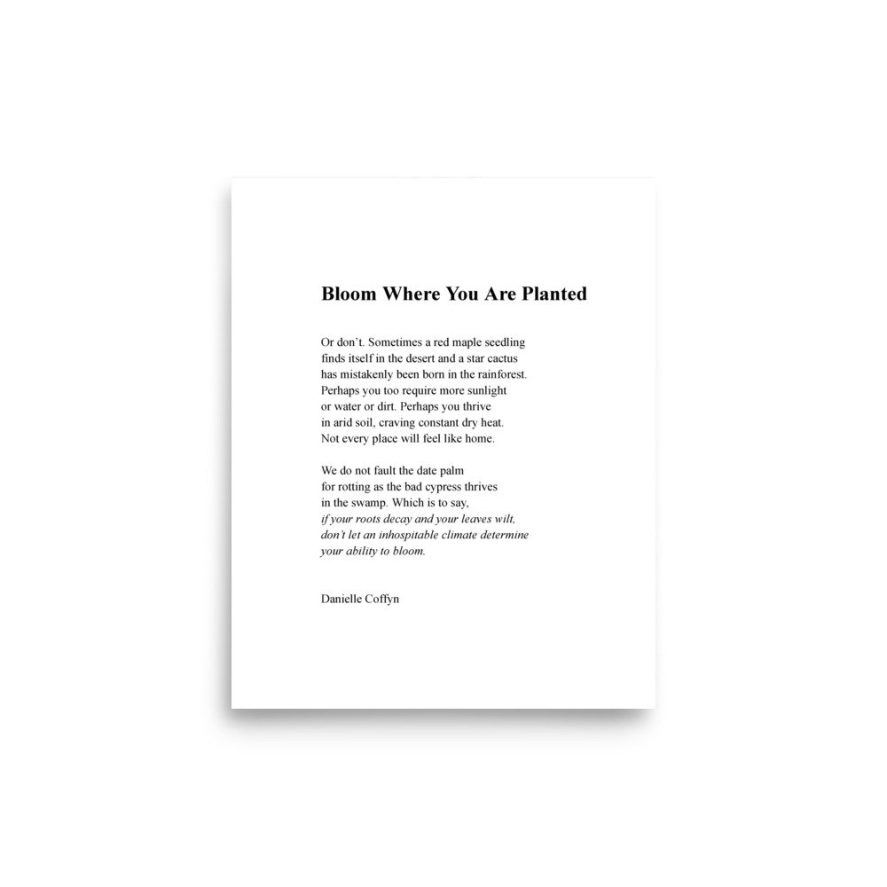 enhanced-matte-paper-poster-(in)-8x10-front-6803ee666aa97.jpg
