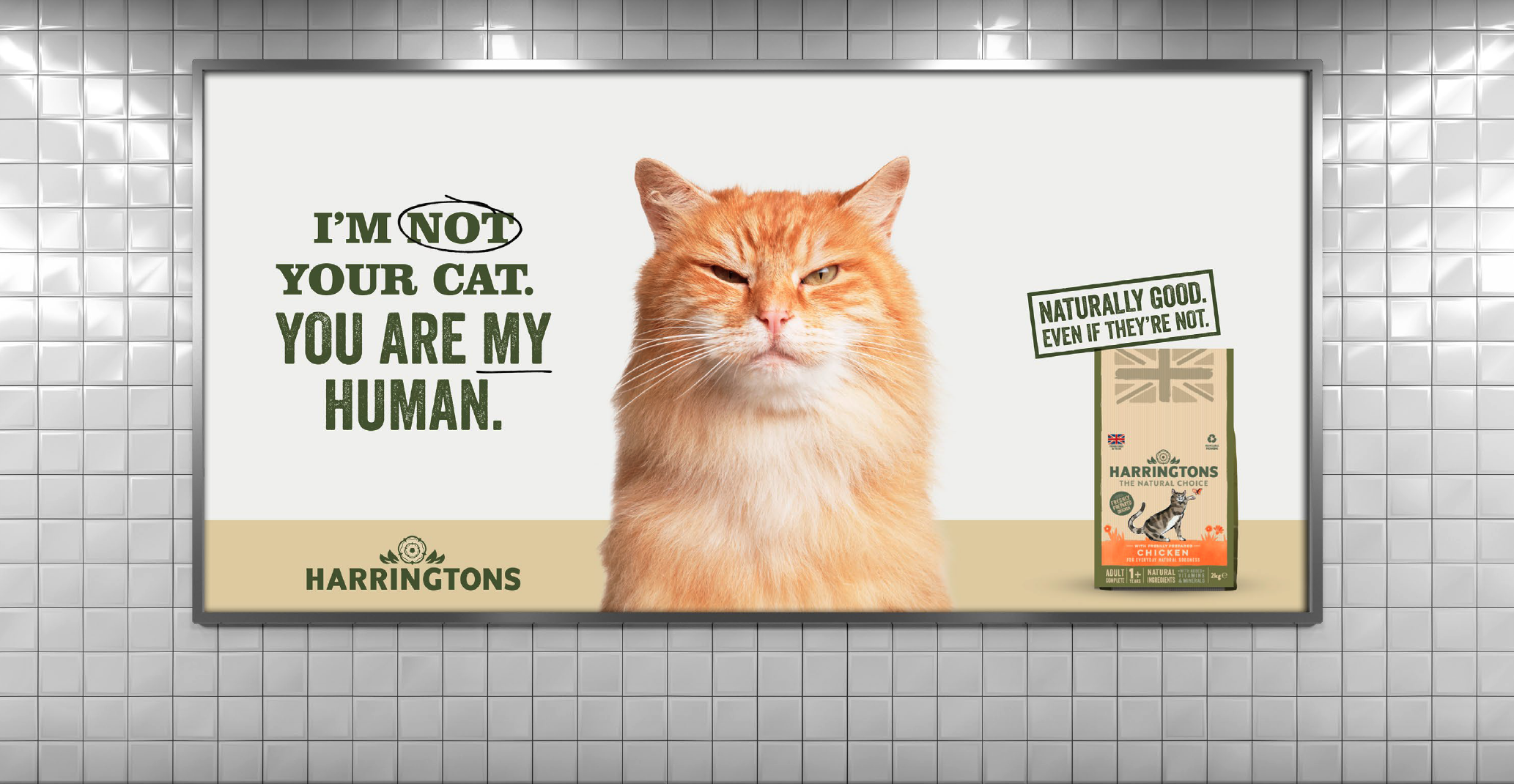 Screenshot 2026-01-29 at 22.45.32.png