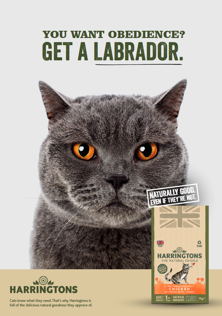 Screenshot 2026-01-29 at 22.45.46.png