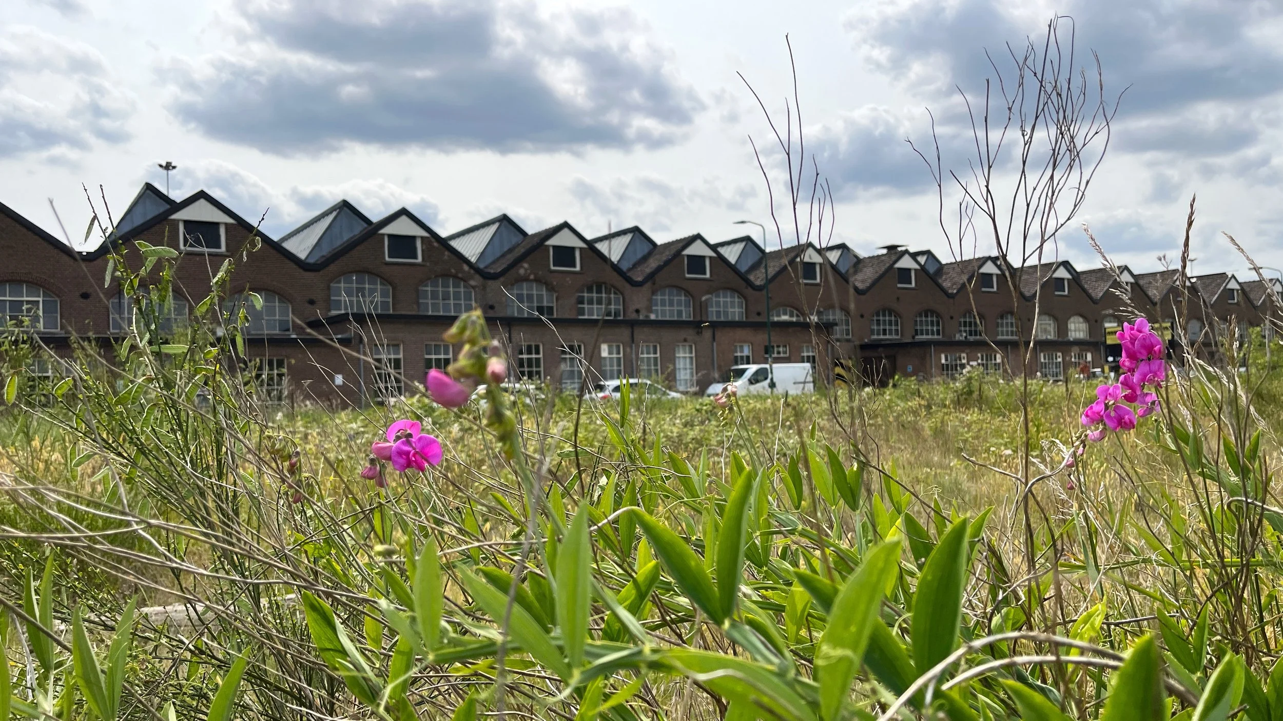 Piet Mondtiaanplein IMG_1060a.JPG