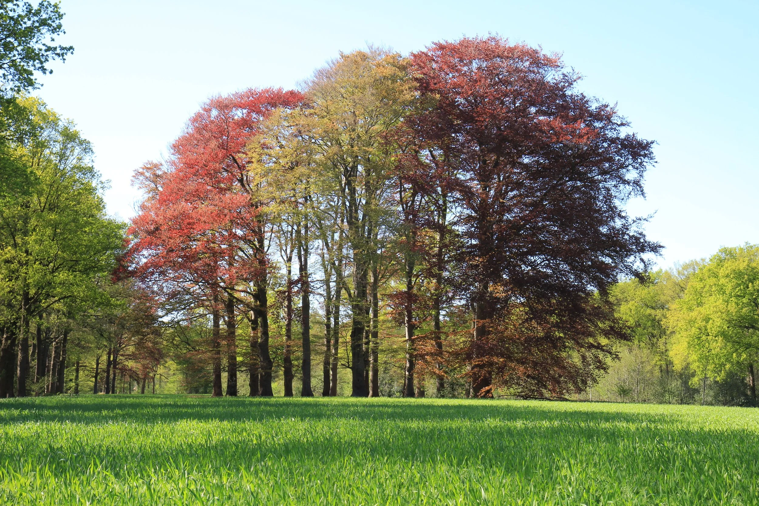 Het Paradijs IMG_1499.JPG