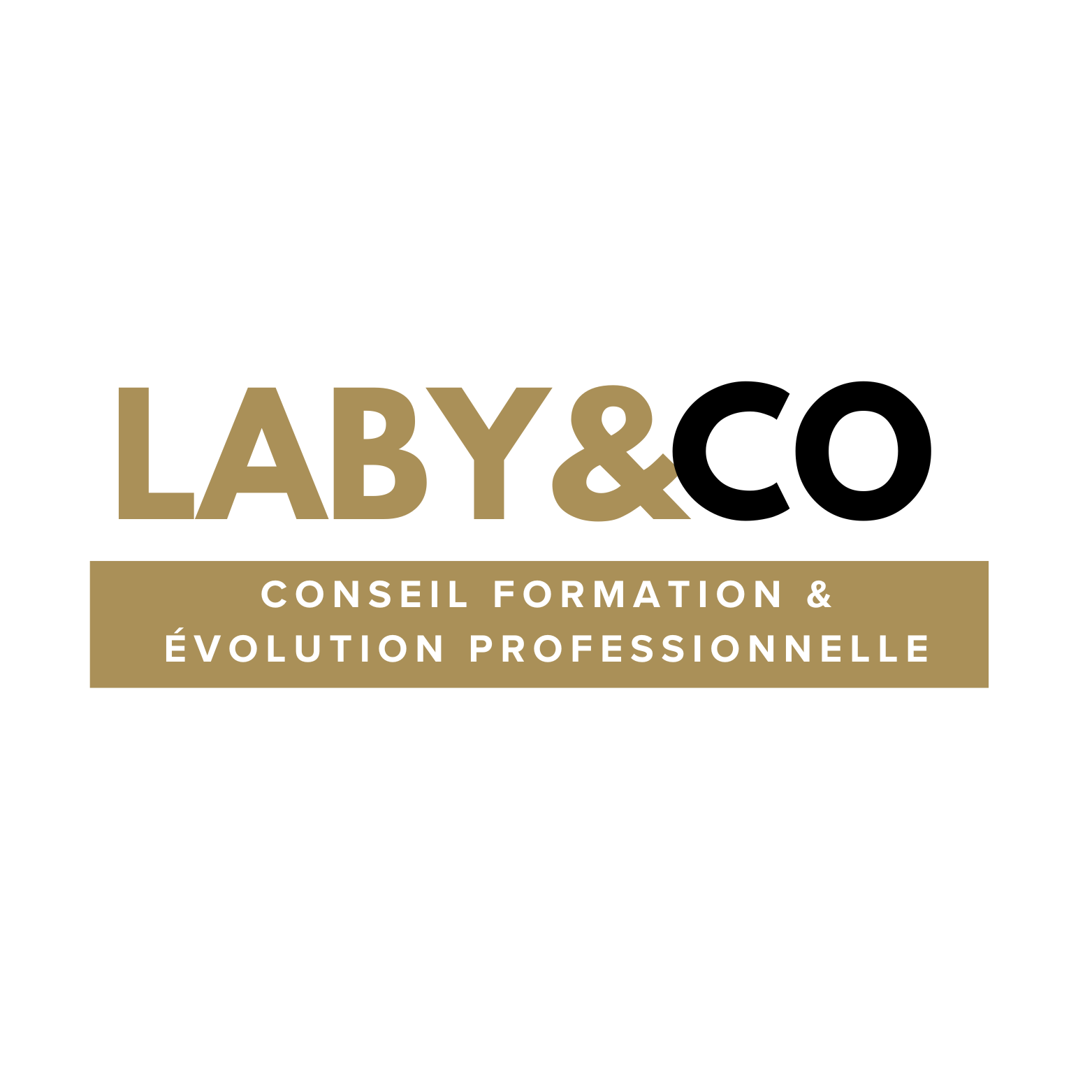 Logo de LABY&CO, société spécialisée dans le conseil, la formation et l'évolution professionnelle, avec un fond blanc et du texte en or et noir.