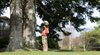 Andy's Tree Service inc.