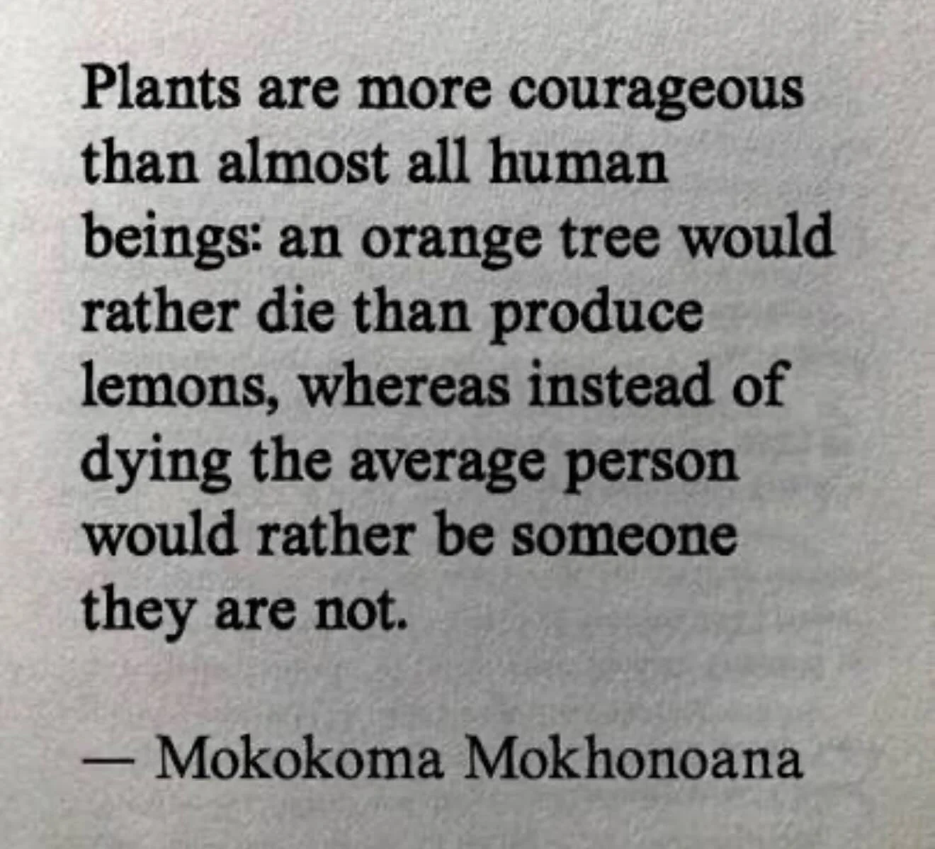 Sometimes there&rsquo;s a quote or piece of poetry that really speaks to me. 💕📖