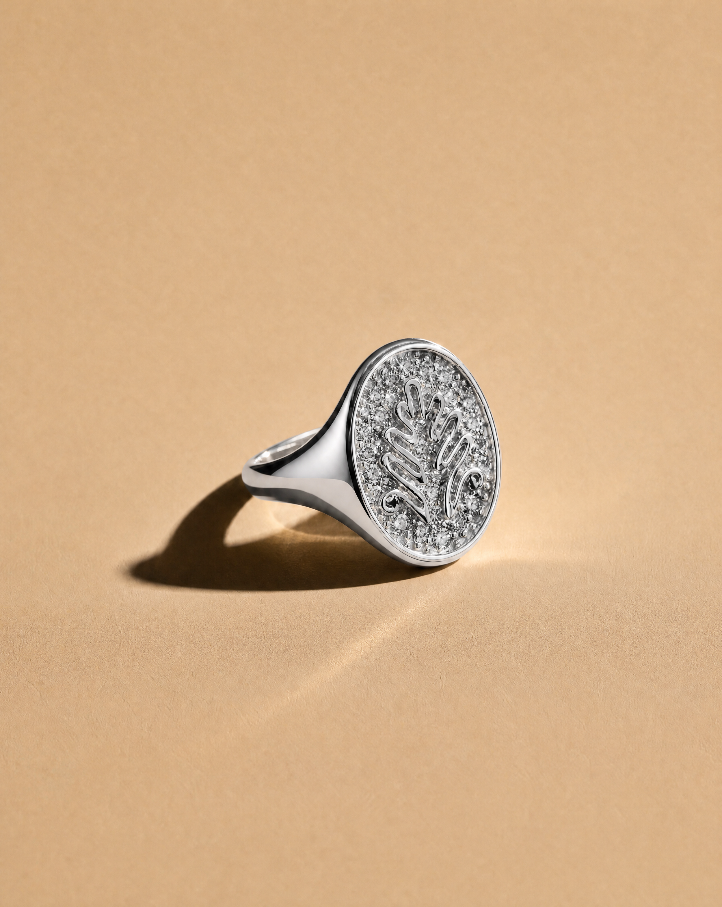 Chirma Pavé Signet Ring - SS.png