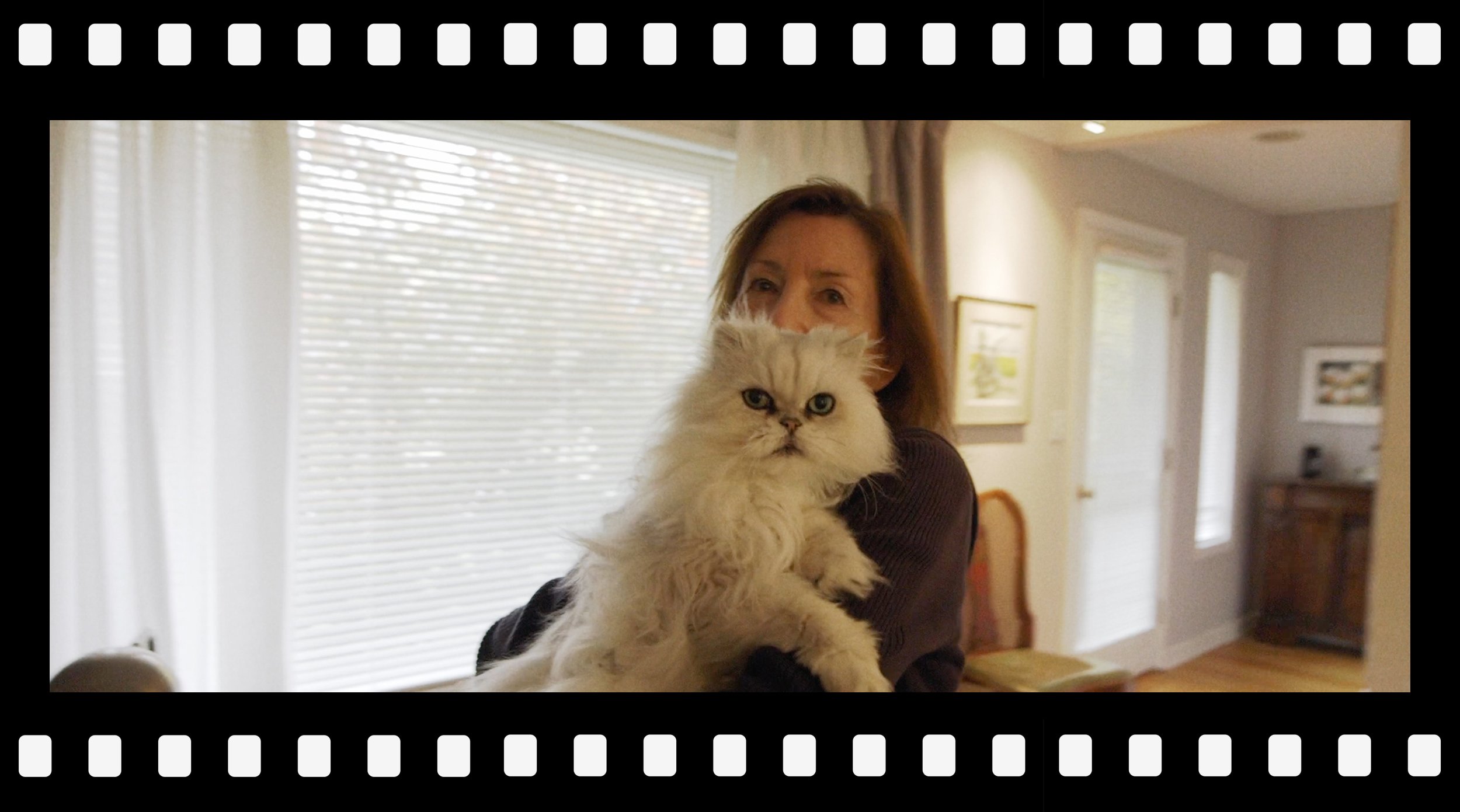 Filmstrip_7.jpg