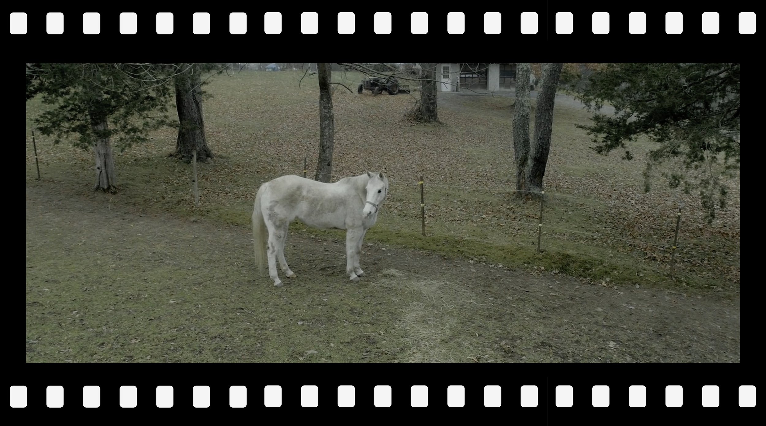 Filmstrip_24.jpg