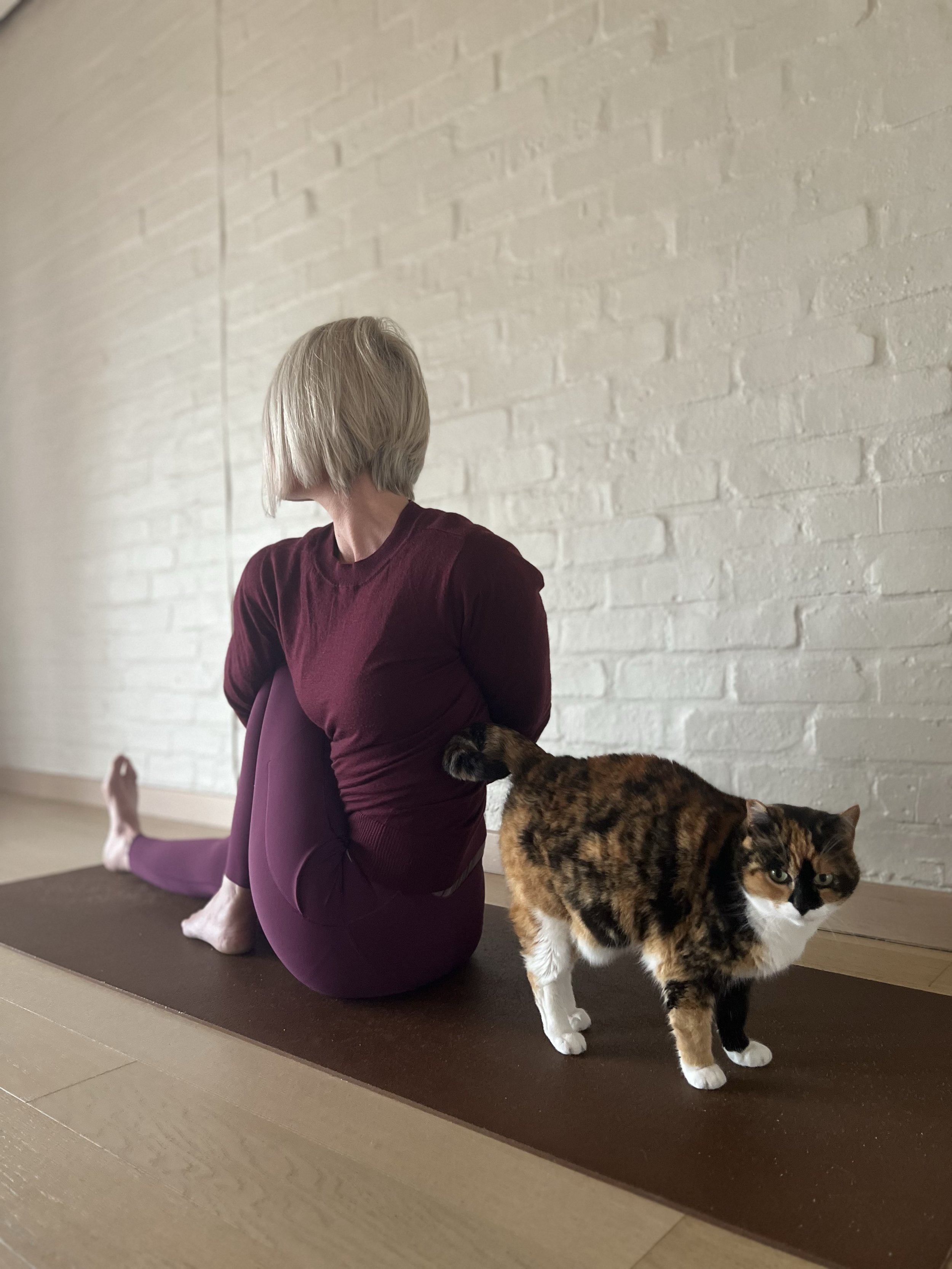 A woman in a yoga pose on a mat with a calico cat walking in front of her, against a white brick wall.