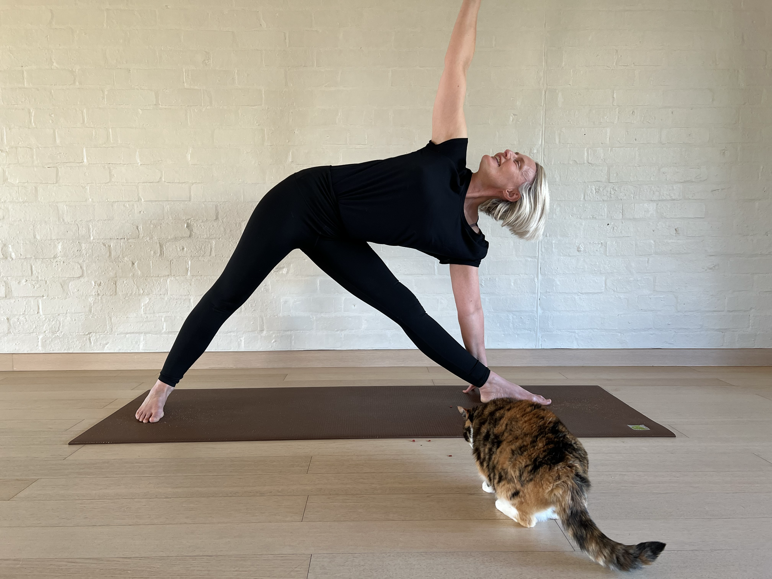 Woman practicing yoga in a triangle pose on a yoga mat with a cat in the foreground.