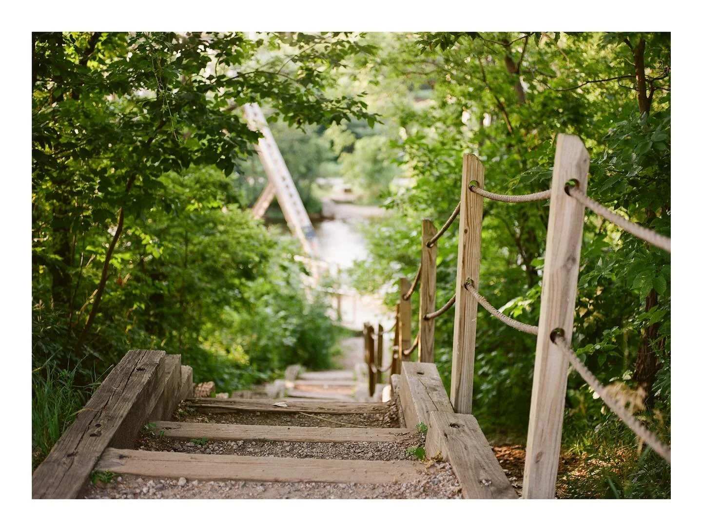 Soaking up the last rays of summer around Minneapolis on 120mm

📸: Pentax 645nii
🎞️: Kodak Gold

#120mmfilm #shootfilmmag #film #35mmfilm #pentax645 #pentax #kodakgold #kodakgold200 #kodakprofessional #kodak #madewithkodak #kodakfilm #minneapolis #