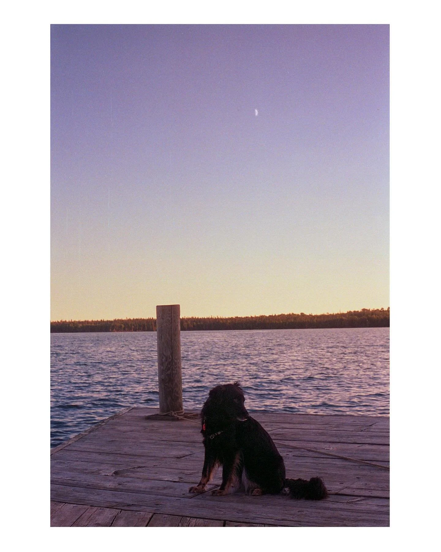 Capturing the last of the light in Grand Portage MN on trusty Portra 800. Photographing my black dog on film will forever be a challenge it seems.

📸: Nikon F3
🎞️: Portra 800

#analogphotography #kodak #kodakportra #kodakportra800 #nikon #madewithk
