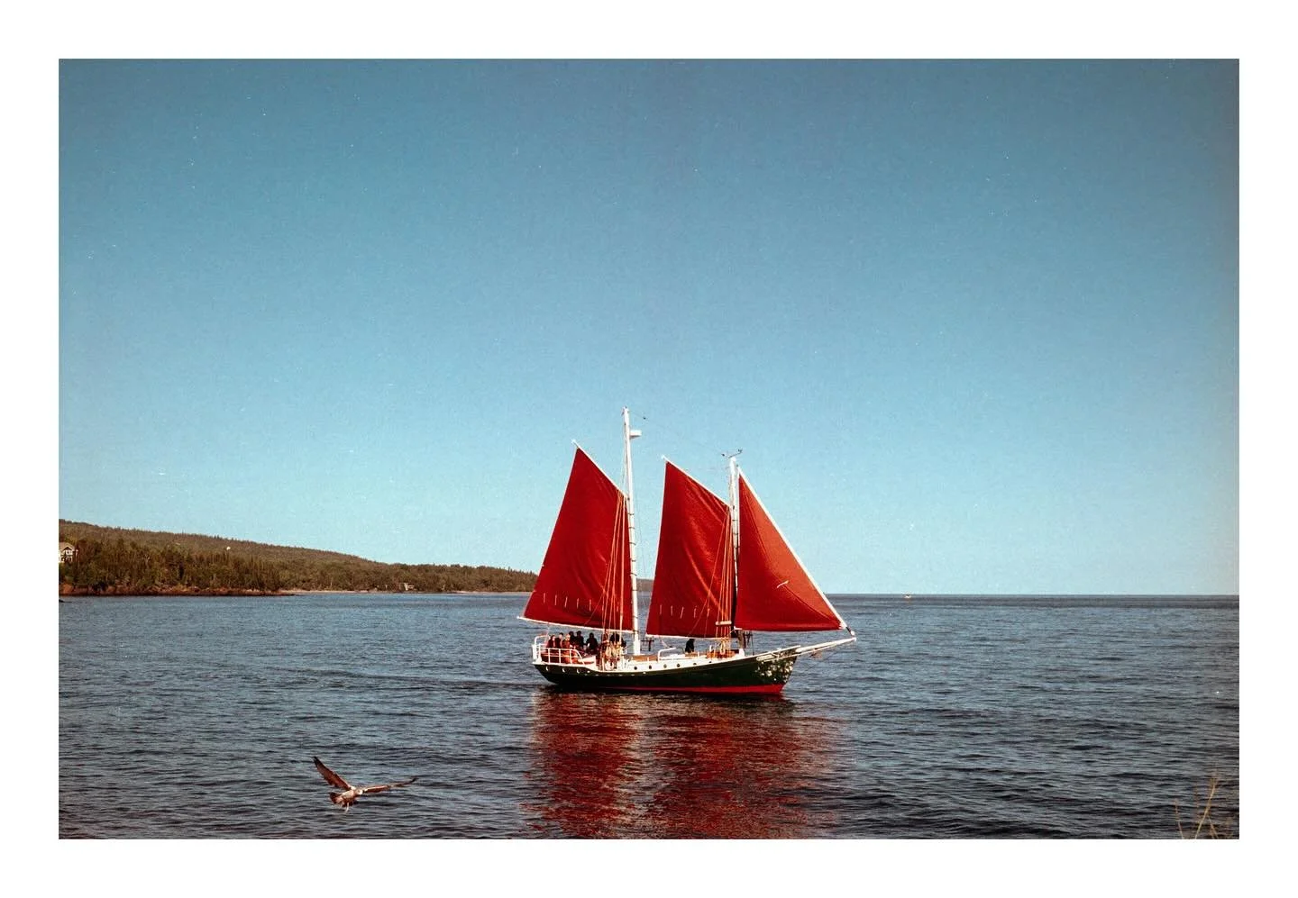 I started a new job and haven&rsquo;t taken a photograph in days. In the meantime, enjoy this sea gull &amp; sailboat in Grand Marais, MN from this August. 

📷: Nikon F3
🎞️: Portra 800

#grandmaraismn #exploreminnesota #exploremn #femalephotographe