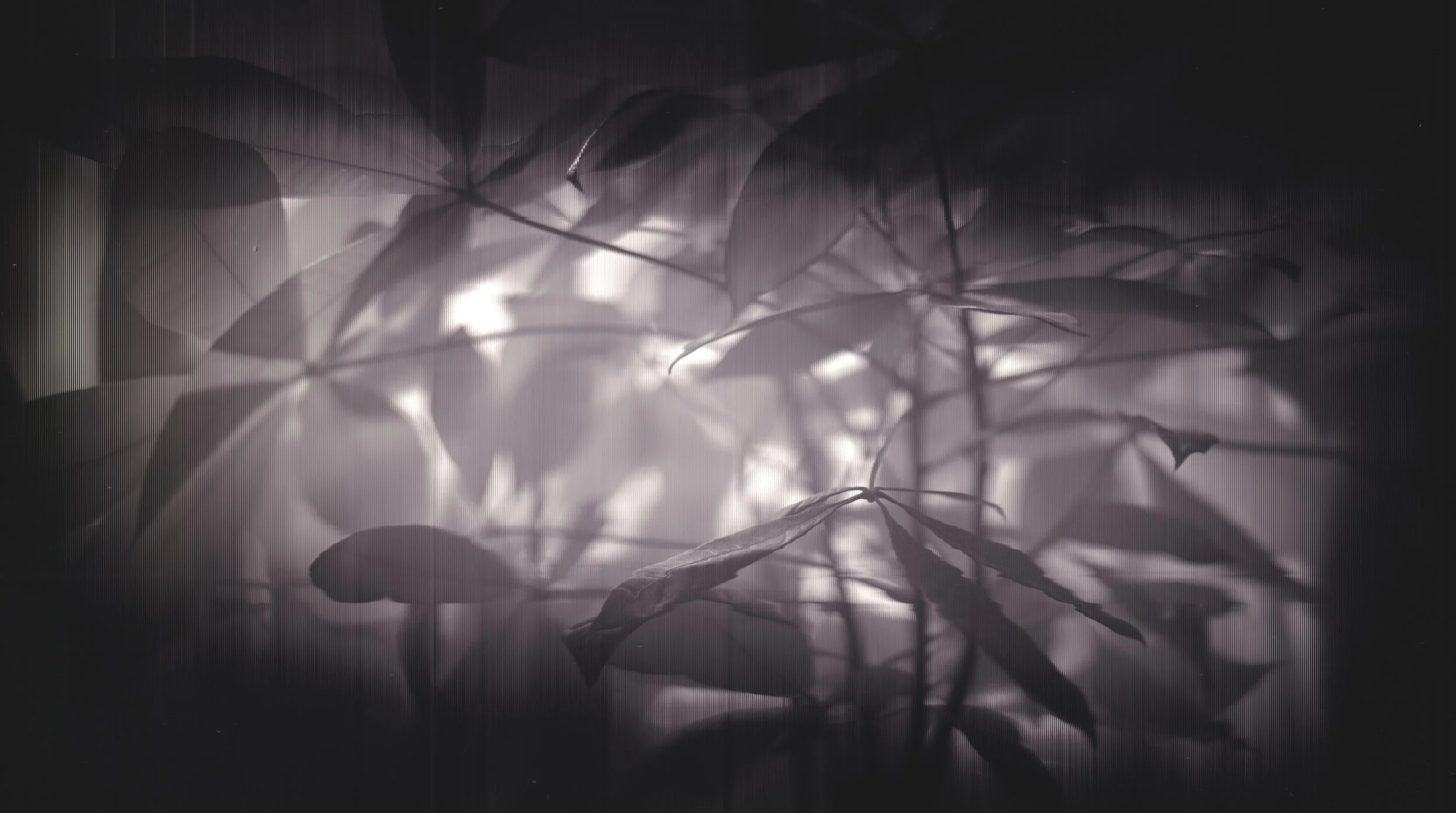Scanner camera