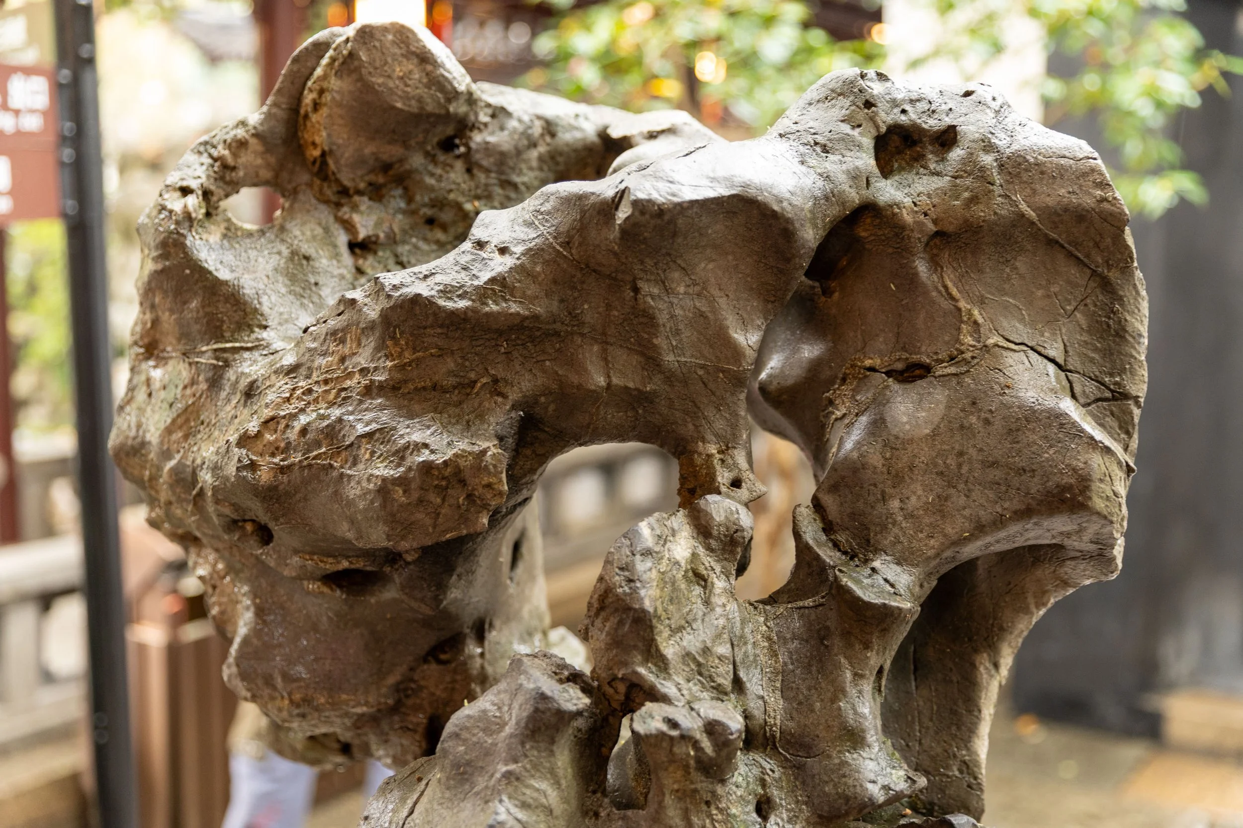 Close-up of a naturally eroded, weathered rock with holes and rough surfaces.