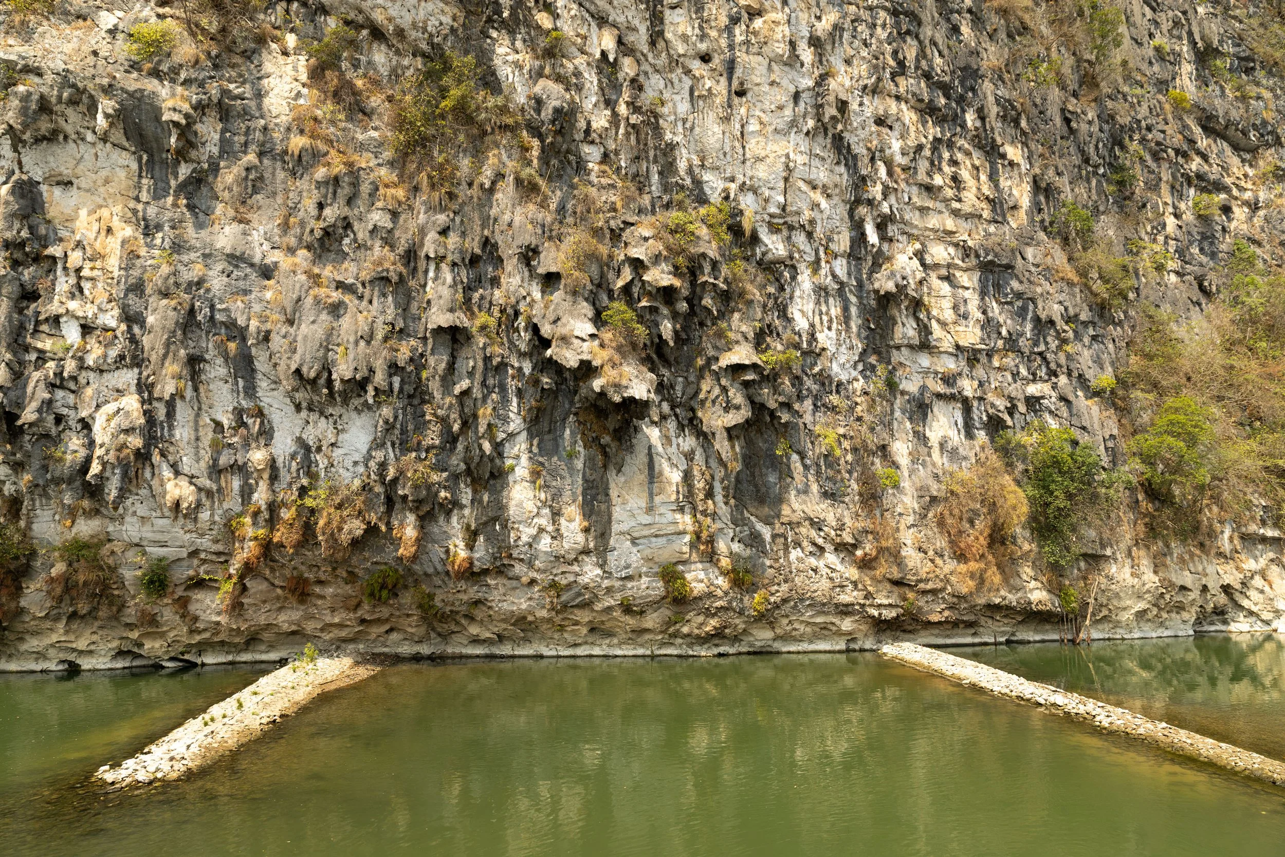 Rocky cliffside with vegetation above a greenish body of water