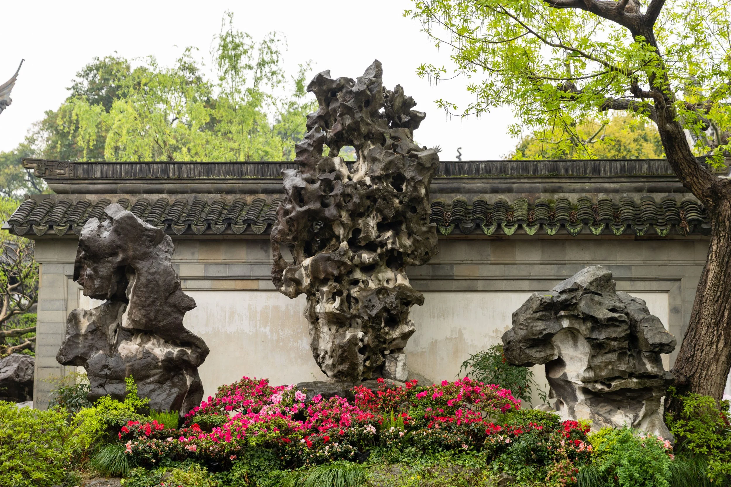 Chinese garden with large ornamental rocks, vibrant colored flowers, greenery, and a traditional-style stone wall with roof tiles.