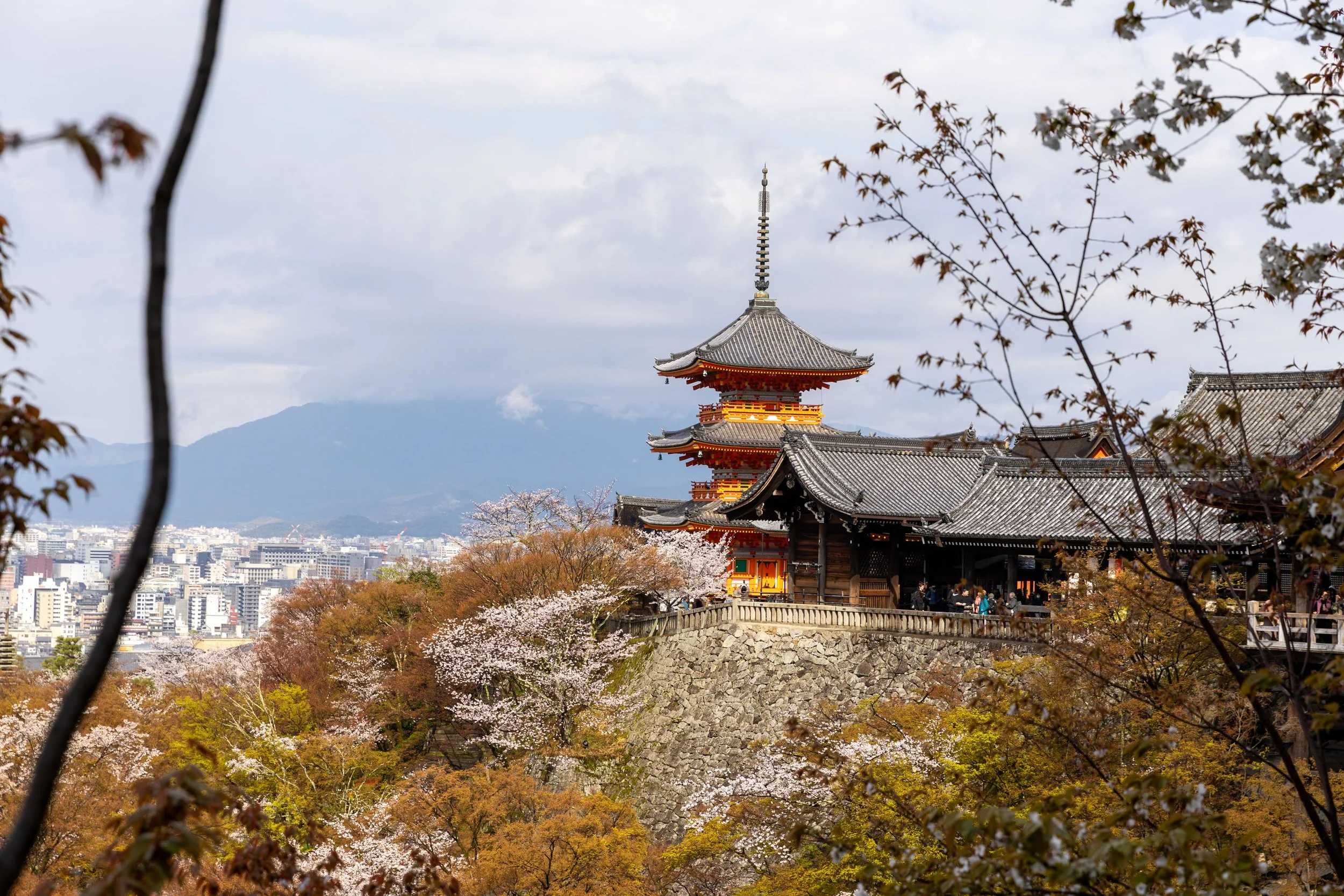 Traditional Japanese temple on a hill surrounded by cherry blossom trees, with a cityscape and mountains in the background.