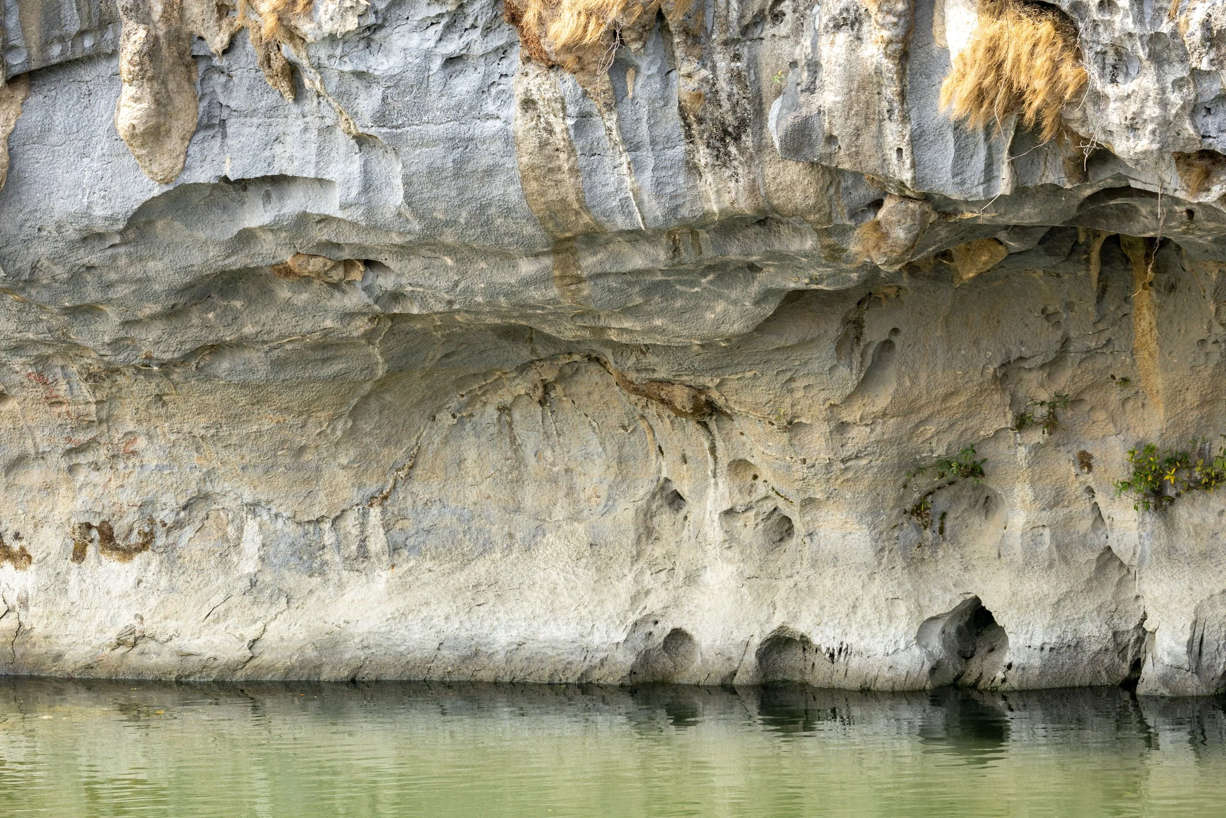 Close-up view of a weathered limestone cliff with small plants growing in crevices, reflected in calm water below.