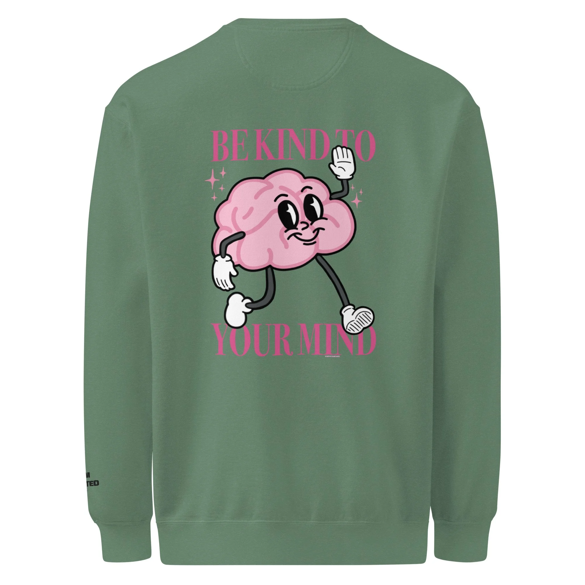 unisex-garment-dyed-sweatshirt-light-green-back-67ffeb2fa9817.jpg