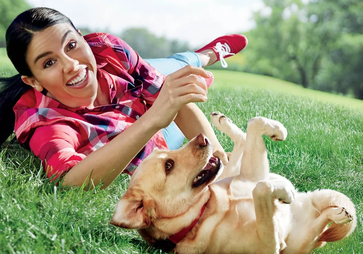 purina_rollover_cvr_image.jpg