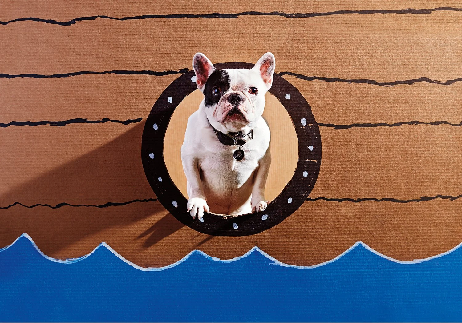pirates_cover_image.jpg