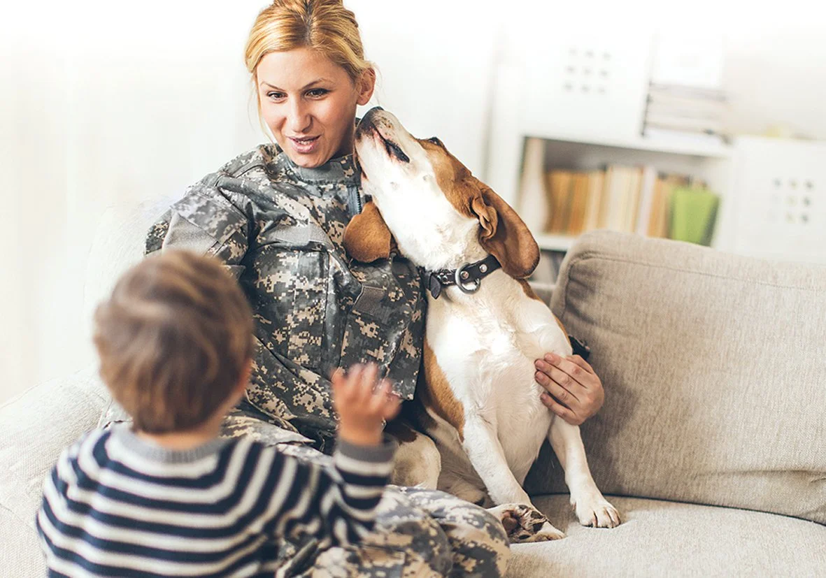 purina_nov16_heroes_cover_image.jpg
