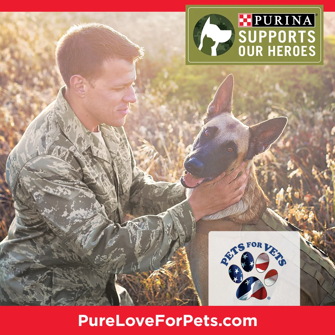 purina25911_18_nov_1080x1080_insta_pfv.jpg