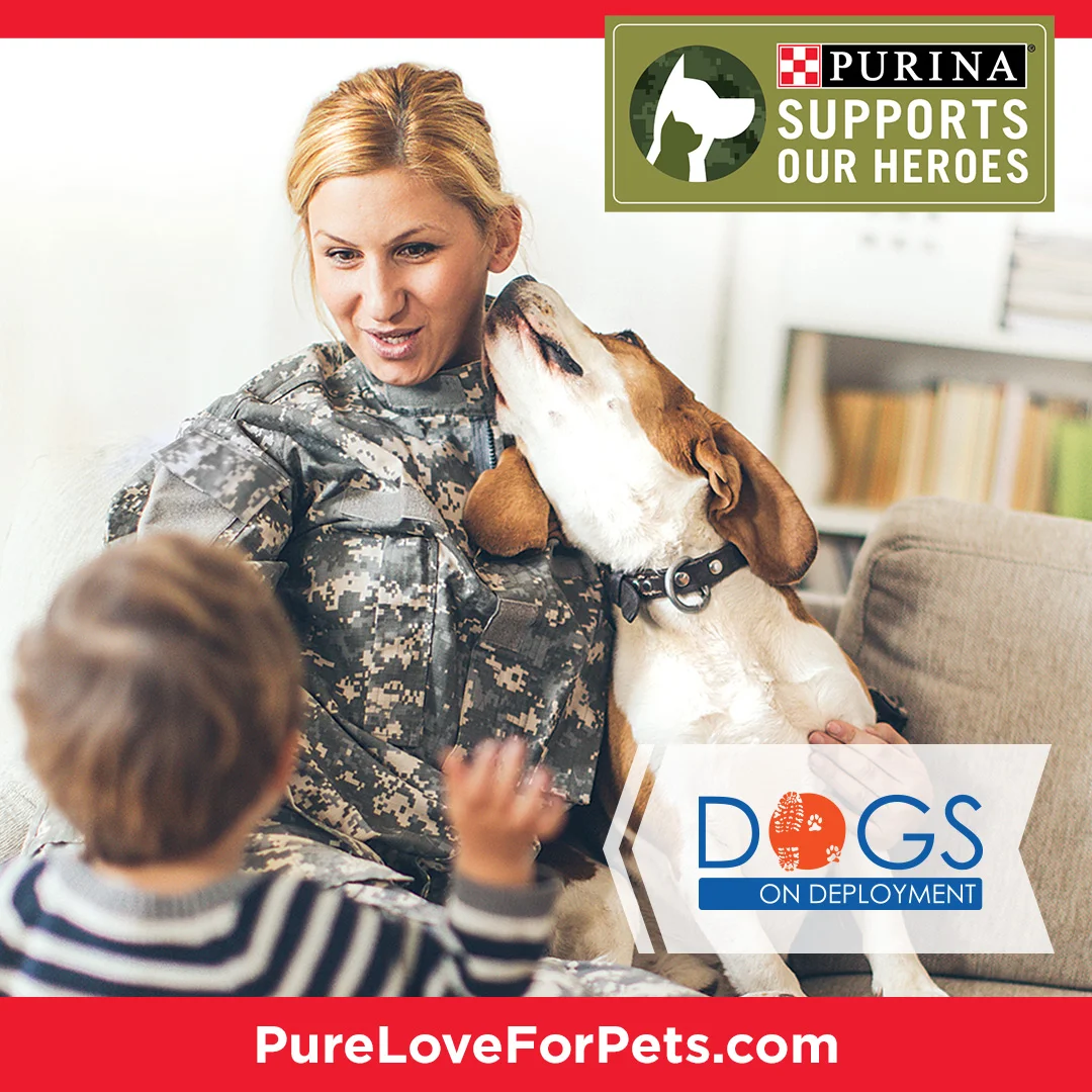 purina25911_18_nov_1080x1080_insta_dod.jpg