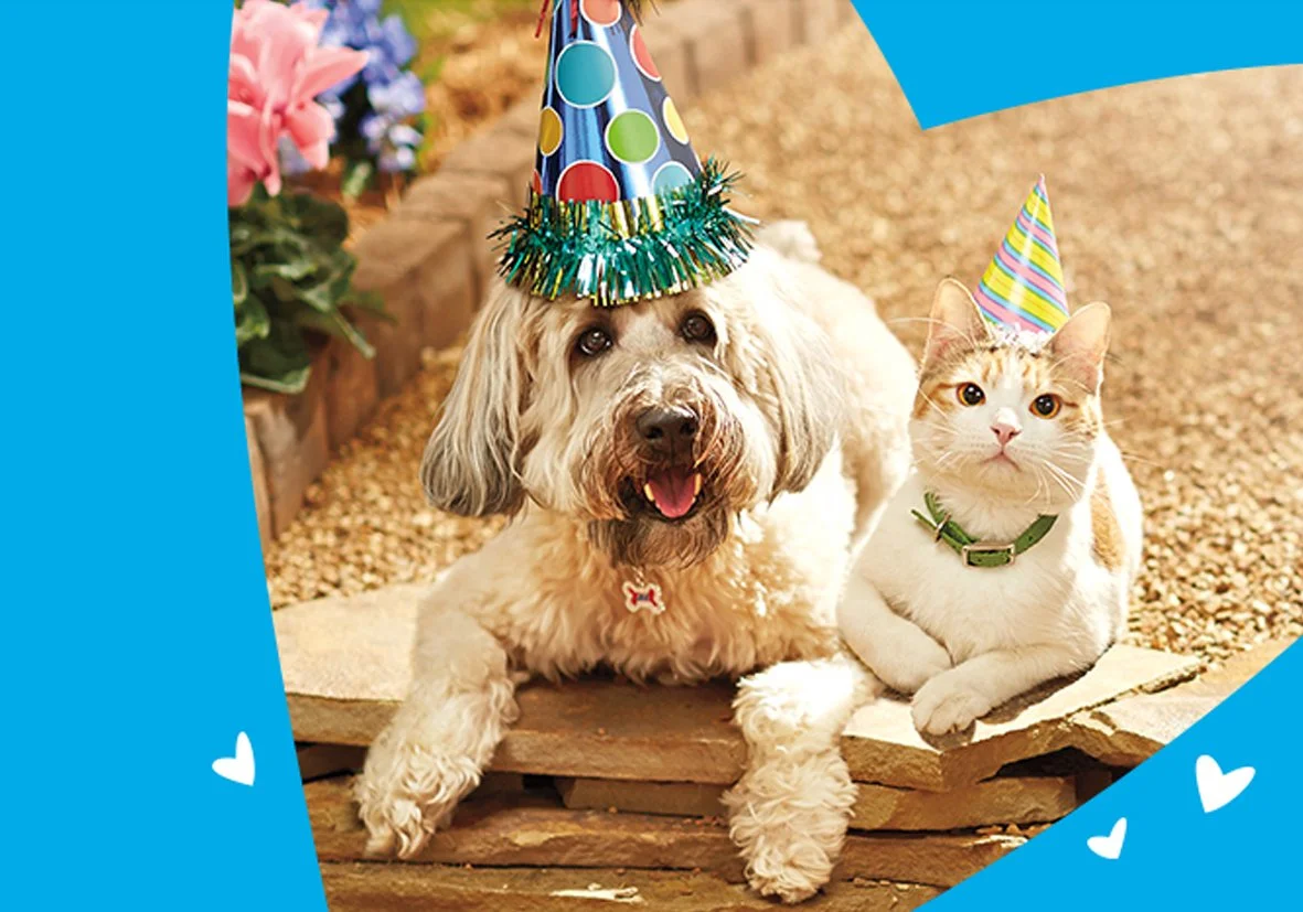 purina_may_npm2015_cvr_image.jpg