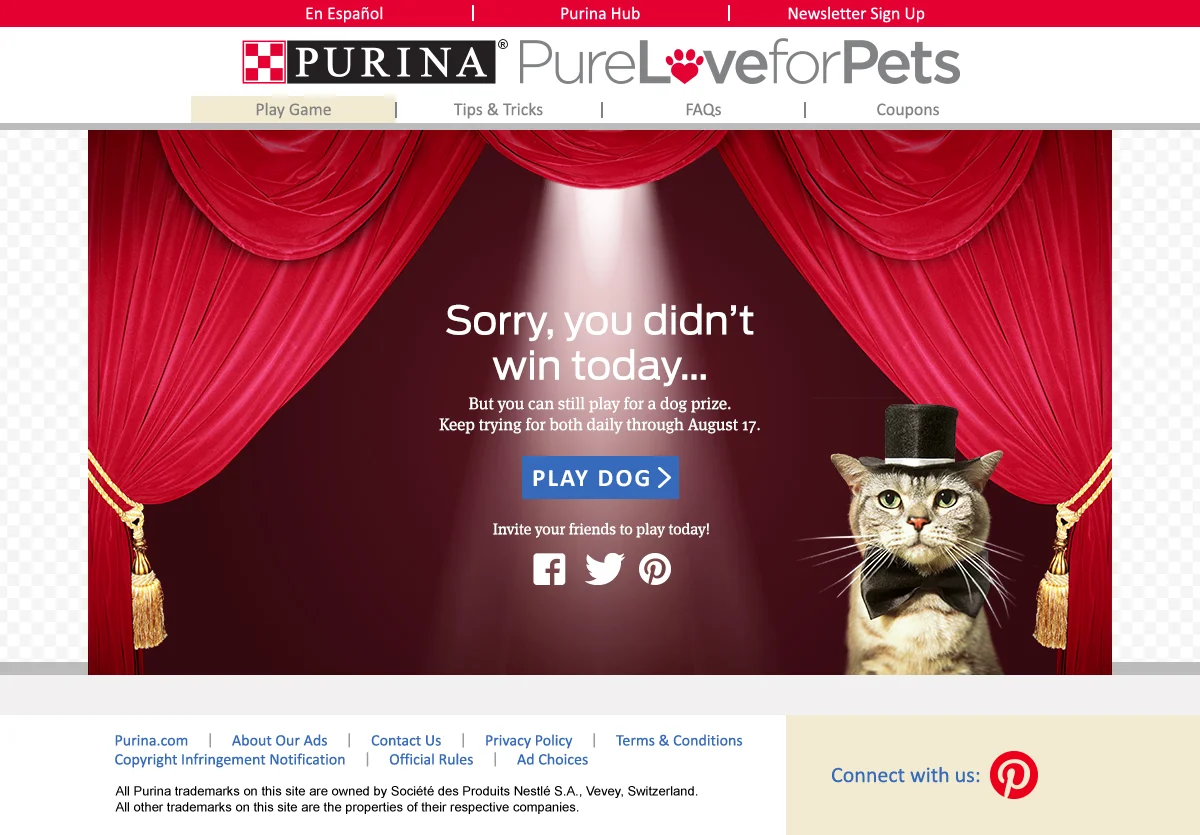 iwg_lose_cat_play_dog.jpg