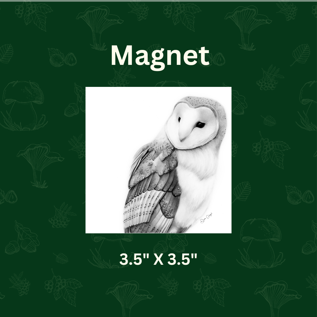 Magnet.png