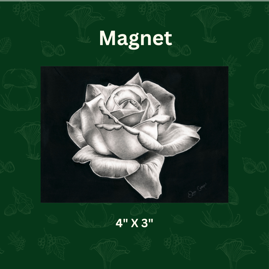 Magnet.png