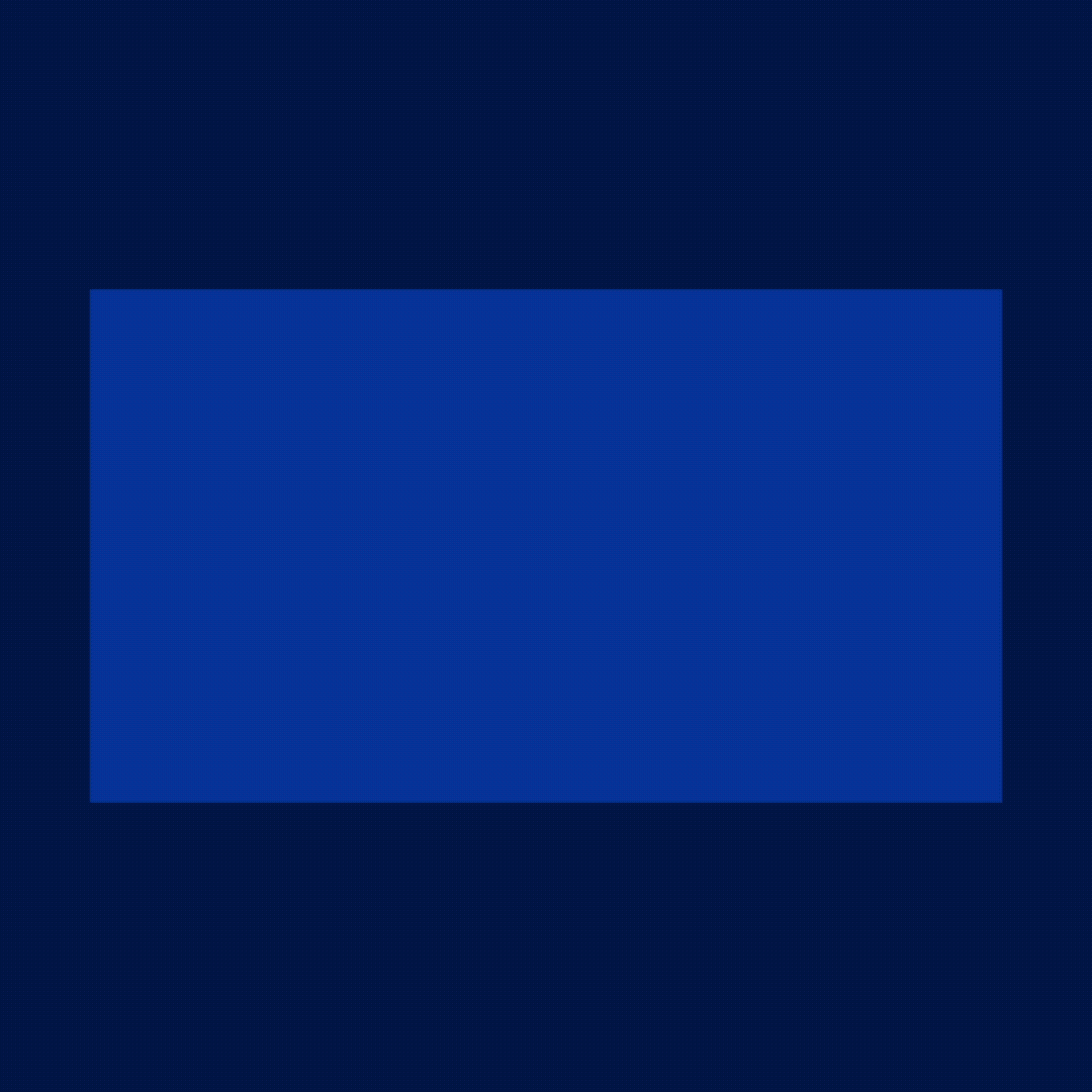 toluna fish 1080 x 1080 1.gif