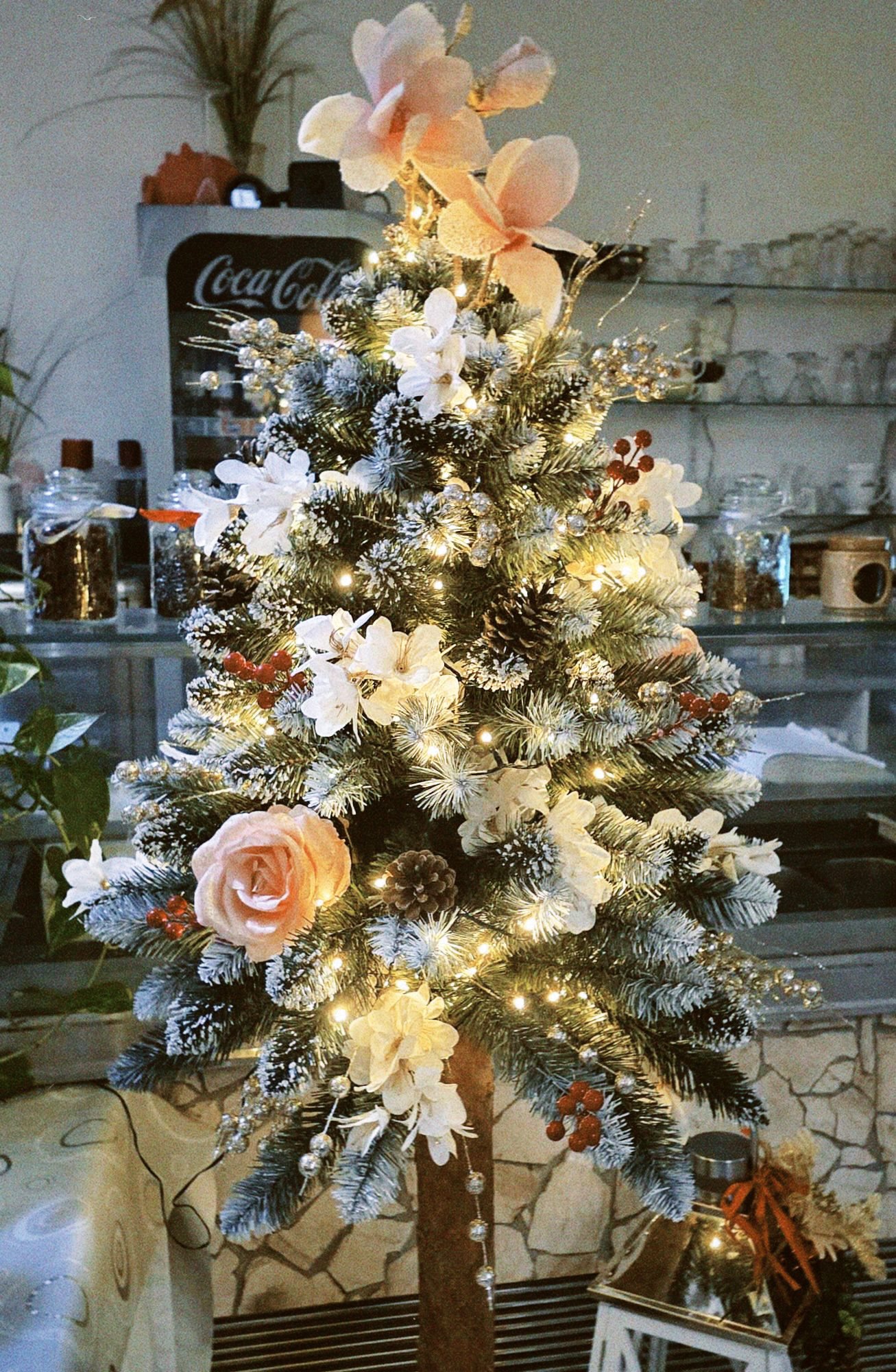 Weihnachten 2025 TCGW _16.JPG