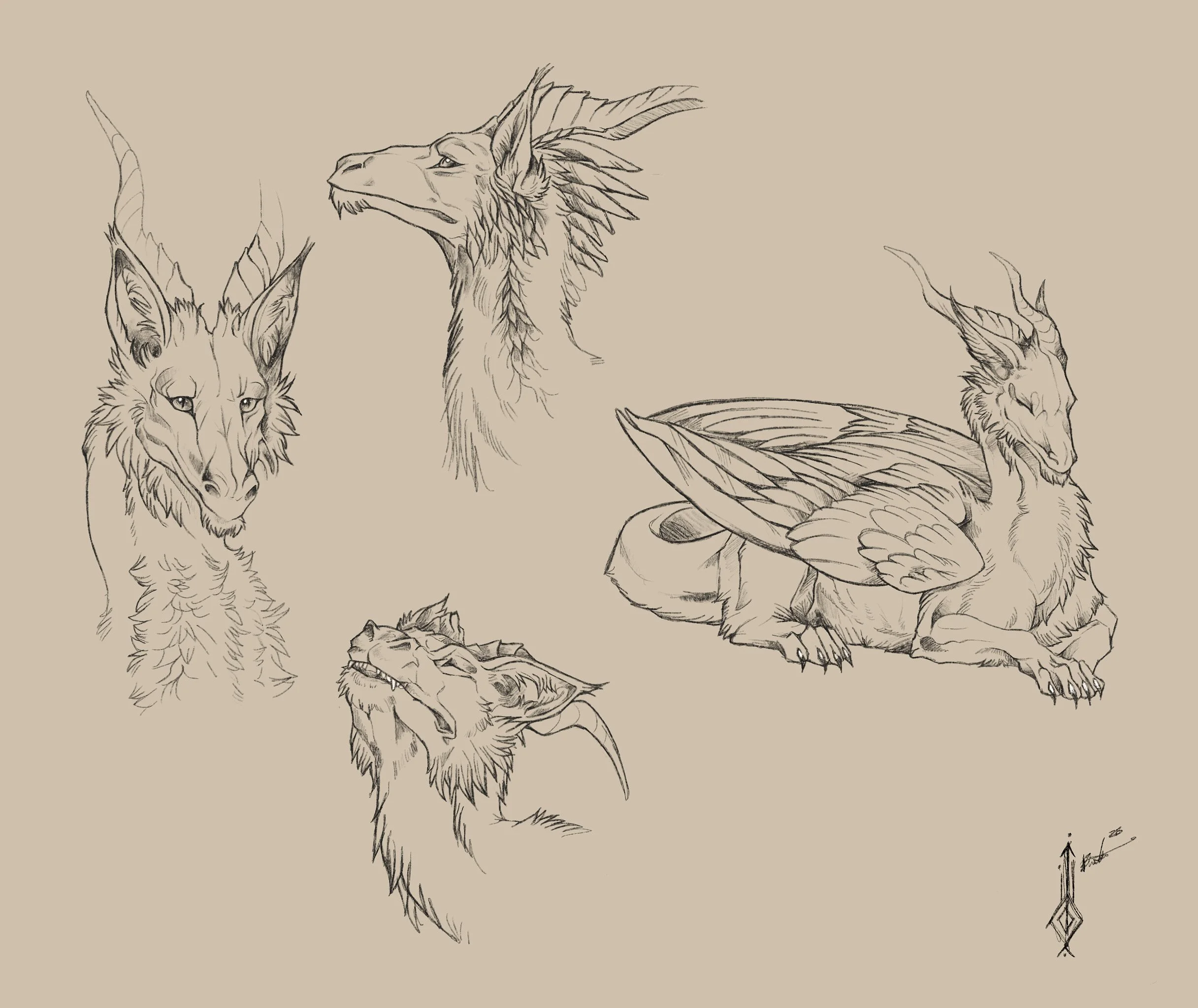 “Dragon Study” | Digital