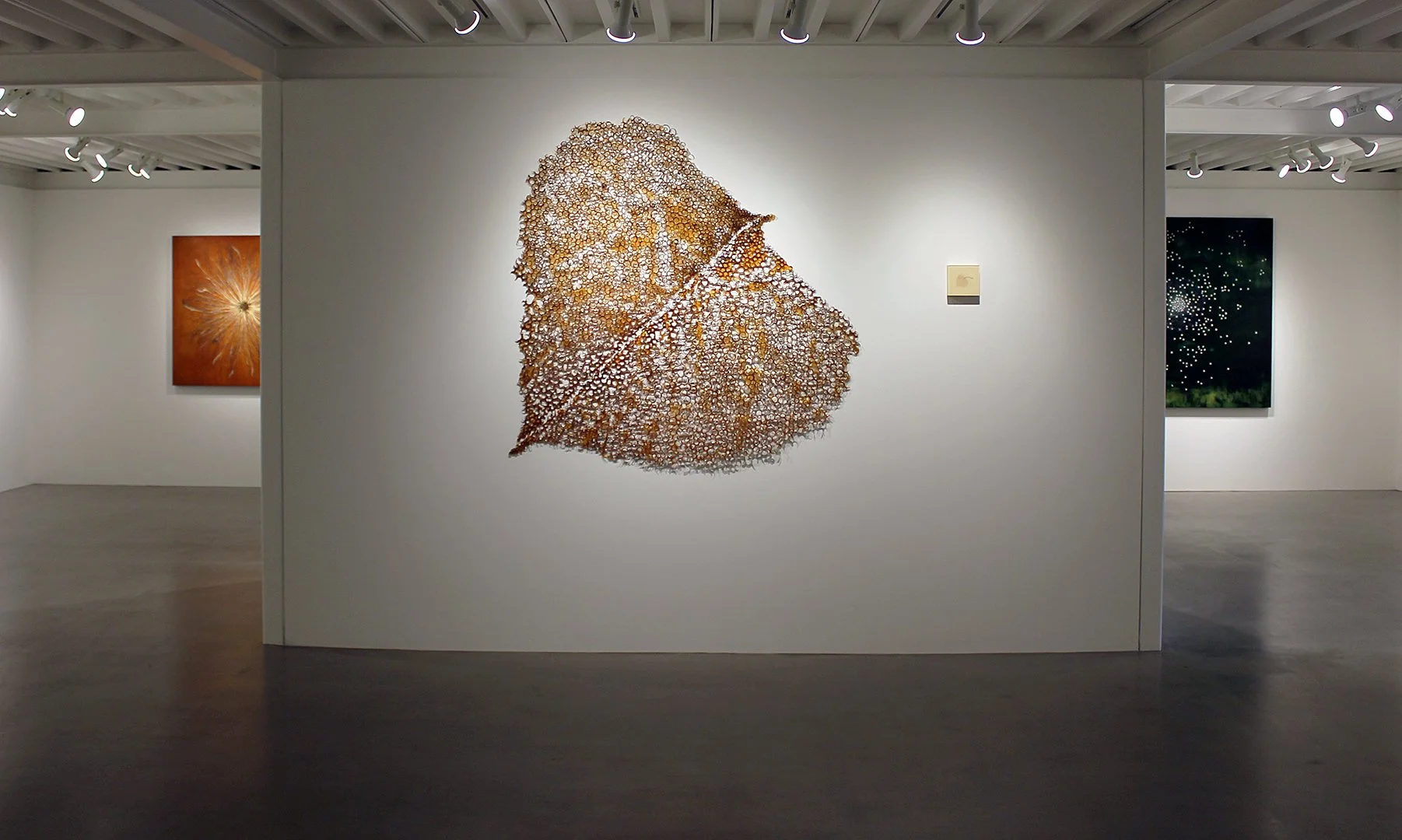 Lisa Sette Gallery interior 4.jpg