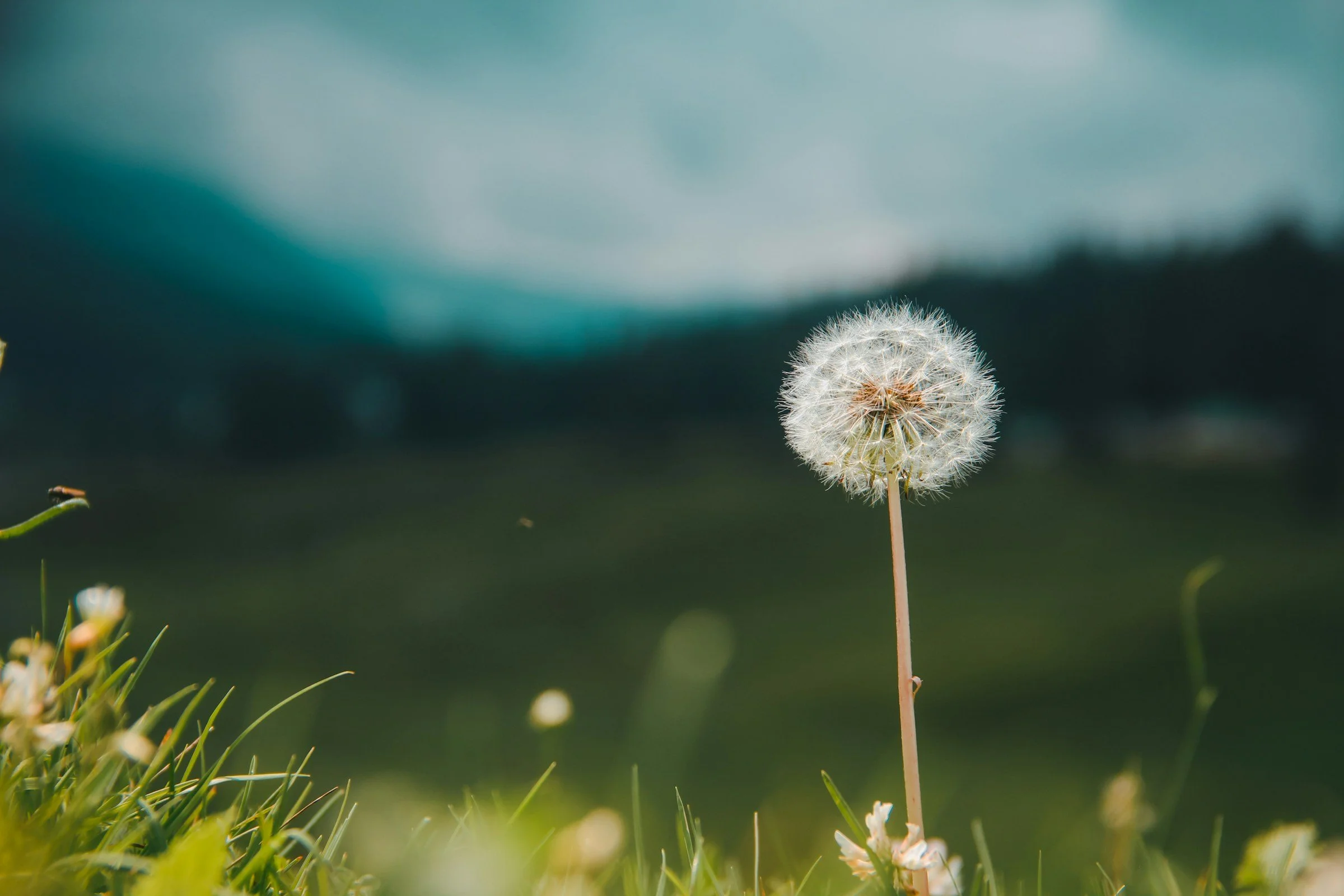 2025 年回顧與 2026 年展望 | 2025 Reflection &amp; 2026 Outlook