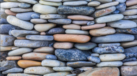 How Teams Build Real Trust (And Why It’s Hard)